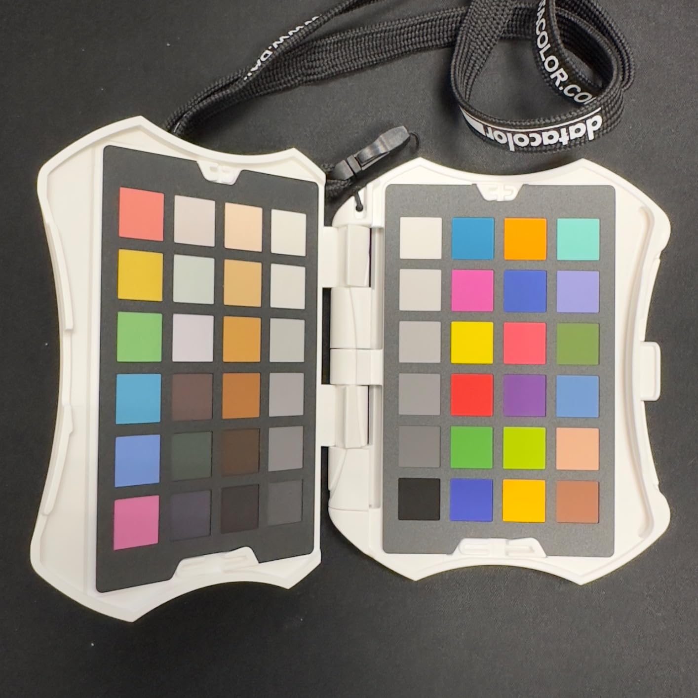 Datacolor Spyder Checkr Photo for Color Accuracy & Consistency, Portable Color Matching Tool with Ergonomic Case, 48 Color Targets, Color Correction Chart for Photography & Portraits customer photo 2