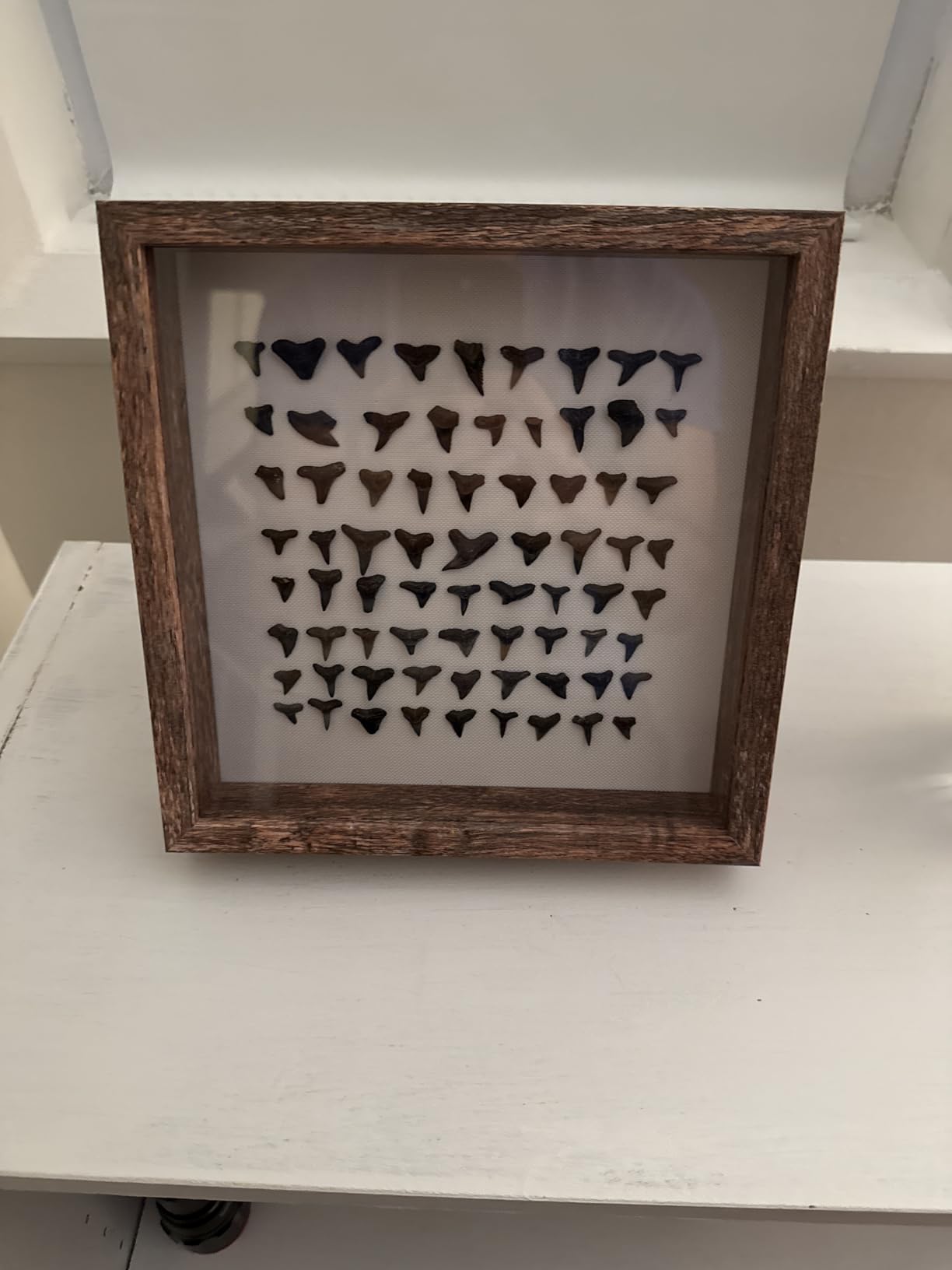 Califortree 8x8 Shadow Box Frame with Soft Linen Back - Push Pins Included, Memory Box Display Case for Flower, Tickets and 3D Items, Black customer photo 2