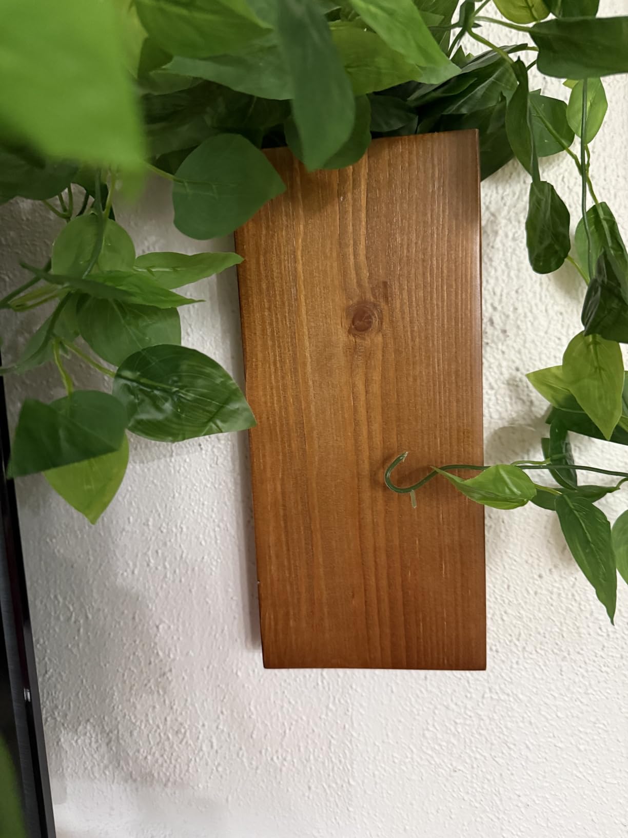 Wood Wall Planter Set of 2, Wood Wall Pocket for Greenery and Dried Flowers, Indoor Hanging Vase, Modern Farmhouse Wall Decor for Living Room Bedroom Office Eucalyptus Stems Decorations (Walnut) customer photo 1