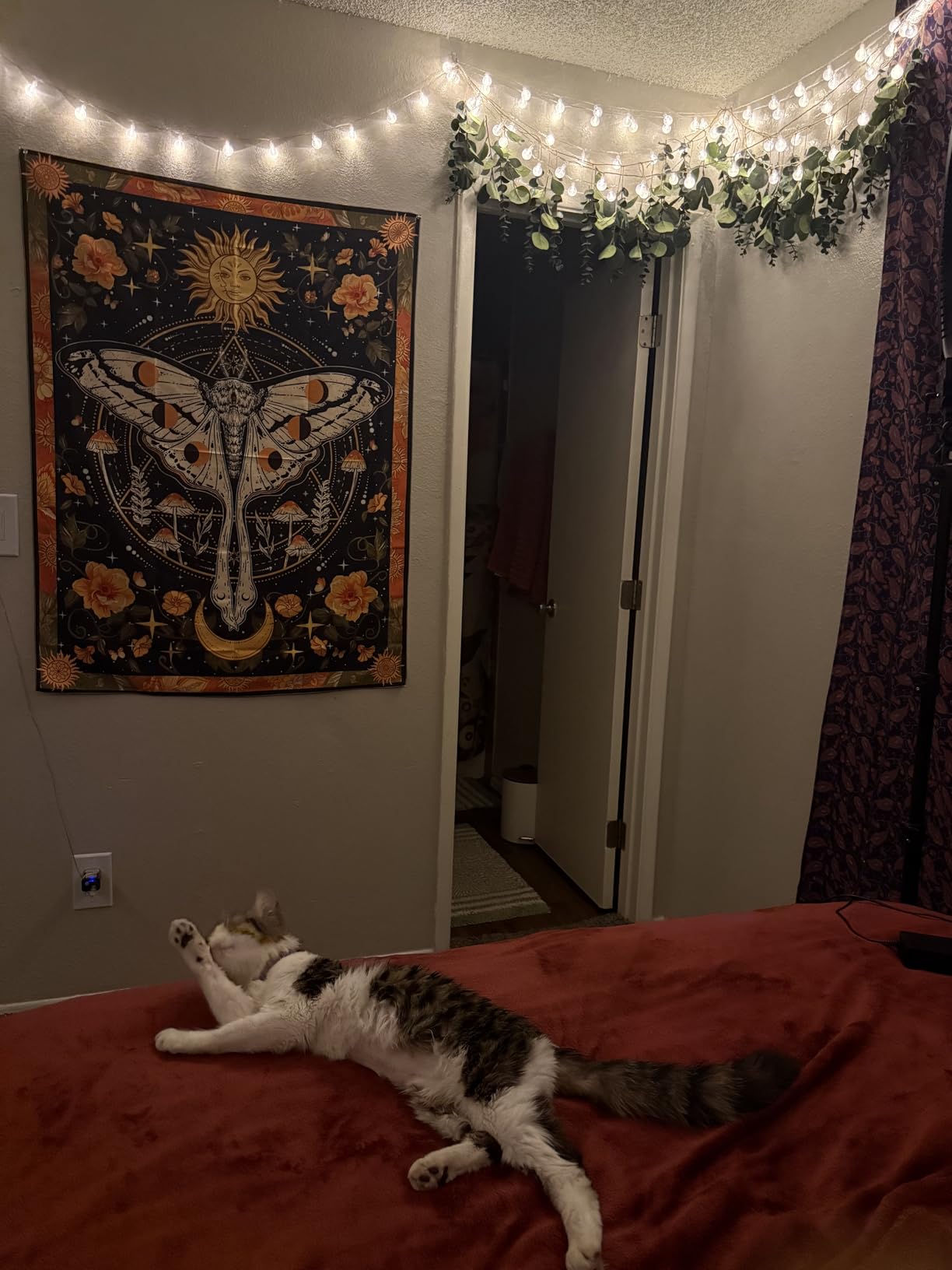 Aipon Orange Moth Tapestry Boho Retro Floral Flowers Tapestries Aesthetic Vintage Mushroom Tapestries for Bedroom Indie Small Tapestry Wall Hanging for Living Room Dorm (30'' x 40'', Orange) customer photo 2