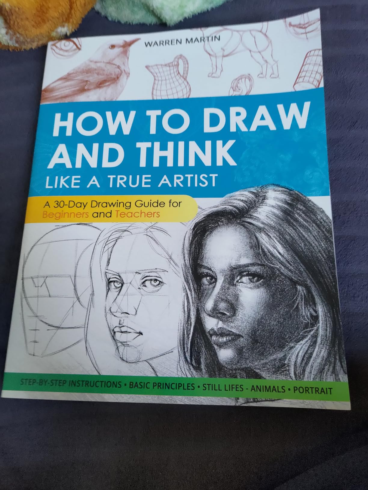 How to draw and think like a true artist: A 30-day Drawing Guide - From the Fundamentals to Step-by-Step Instructions with Detailed Illustrations and Comprehensive Explanations customer photo 1