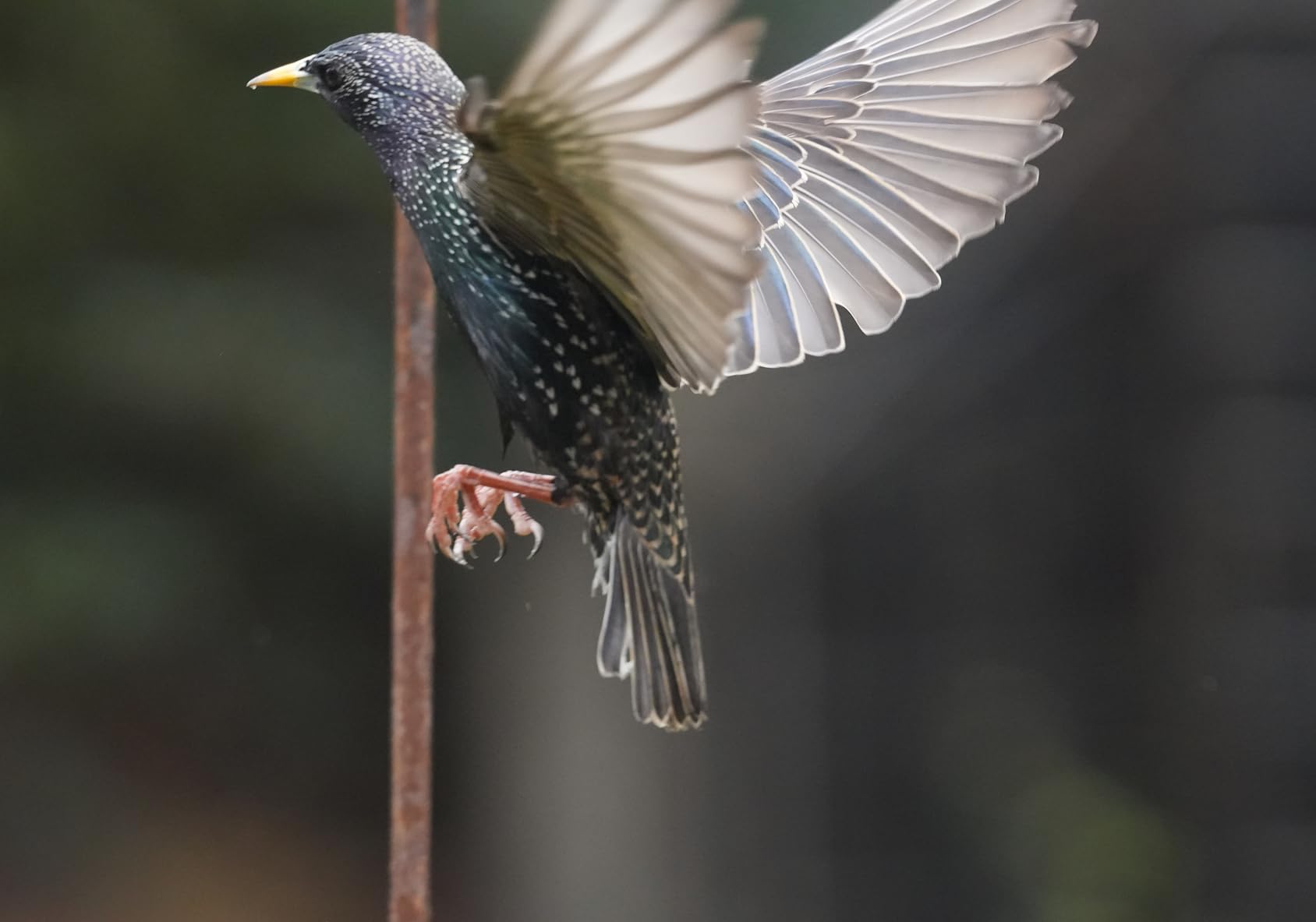 70-180mm F/2.8 Di III VC VXD G2 for Sony E-Mount Full Frame Mirrorless Cameras customer photo 2
