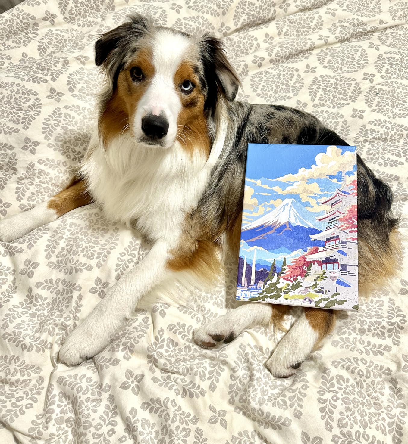 Offito 4 Pack Framed Paint by Numbers Kit for Adults Beginners with Wooden Easel, Landscape Easy Paint by Number Kit with Frame, Watercolor Adult Paint by Number Framed Canvas (8 * 12 Inch) customer photo 1