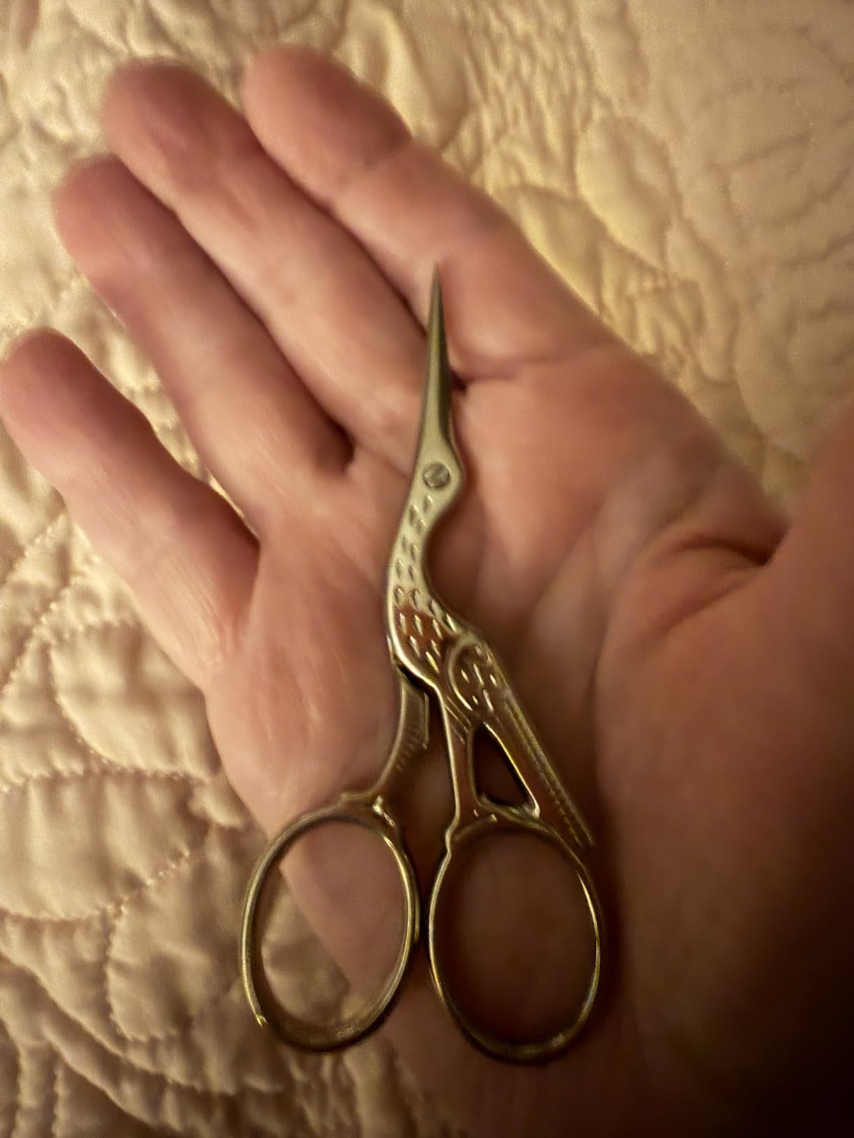 3 Swords Germany Embroidery Scissors, Stork Scissors Shears for Art Work, Sewing, Crocheting, Craft, Needlework with Black Synthetic Leather Case customer photo 2