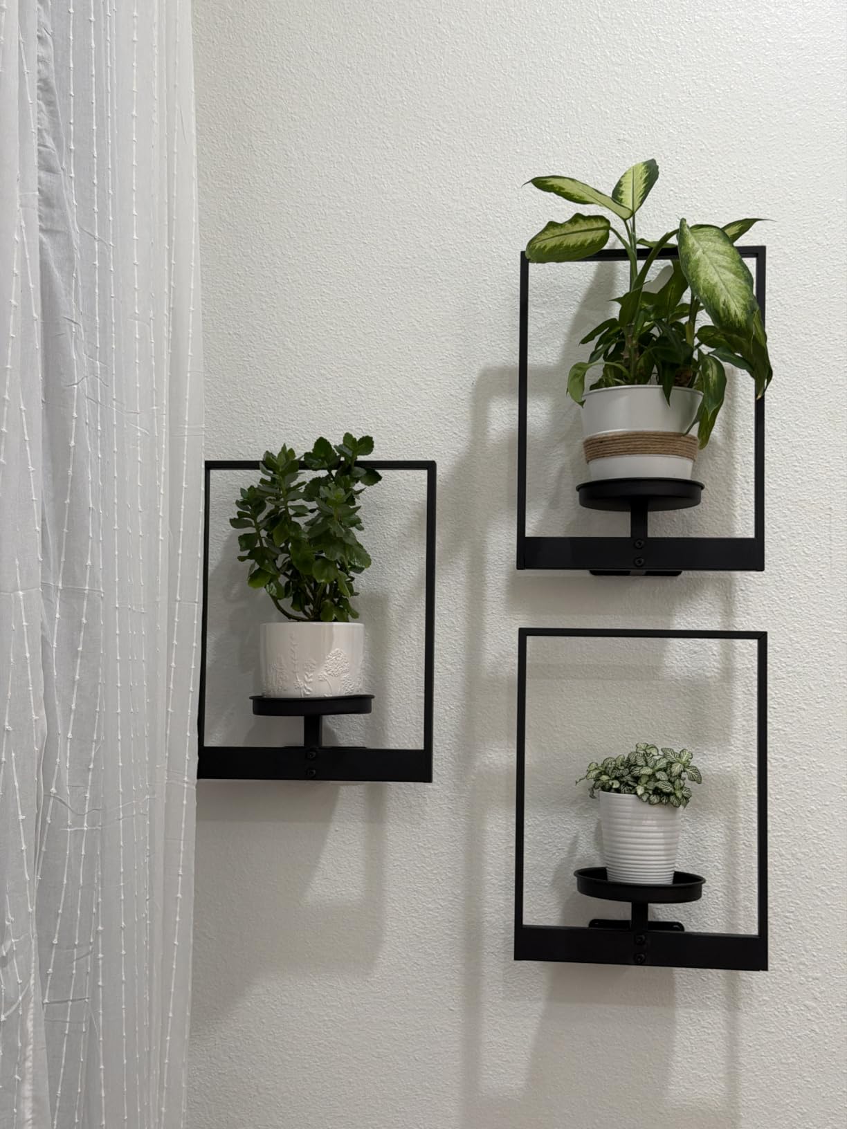 Bamworld Hanging Planters for Indoor Plants Wall Decor Living Room Plant Stand Indoor Wall Planters Plant Hanger Window Plant Shelves 3 Pack for Outdoor Entryway customer photo 1