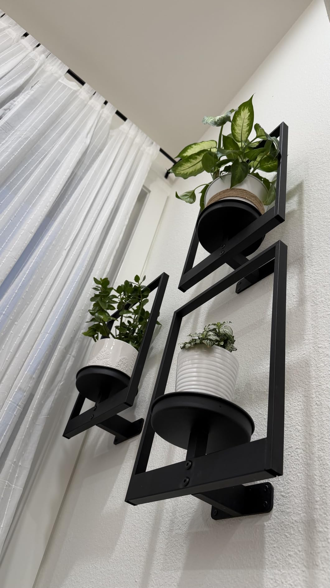 Bamworld Hanging Planters for Indoor Plants Wall Decor Living Room Plant Stand Indoor Wall Planters Plant Hanger Window Plant Shelves 3 Pack for Outdoor Entryway customer photo 2