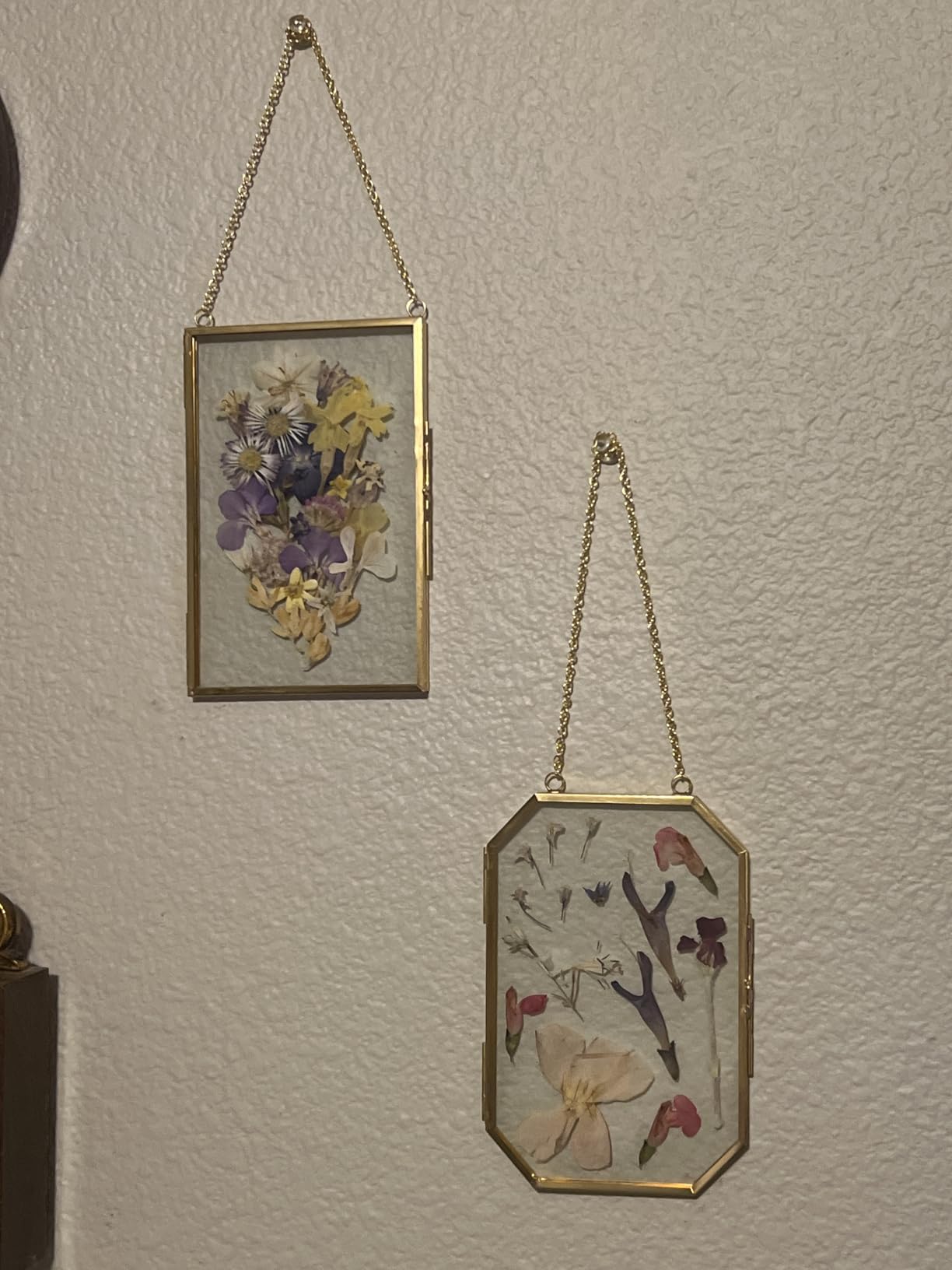 FOCHIER F 5 Pcs Pressed Flower Frames with Tweezers, Wall Hanging Tabletop Display Double Glass Frames with Metal Chain for Pressed Dried Flowers Plants, Horizontal and Vertical Picture Frame, Golden customer photo 1