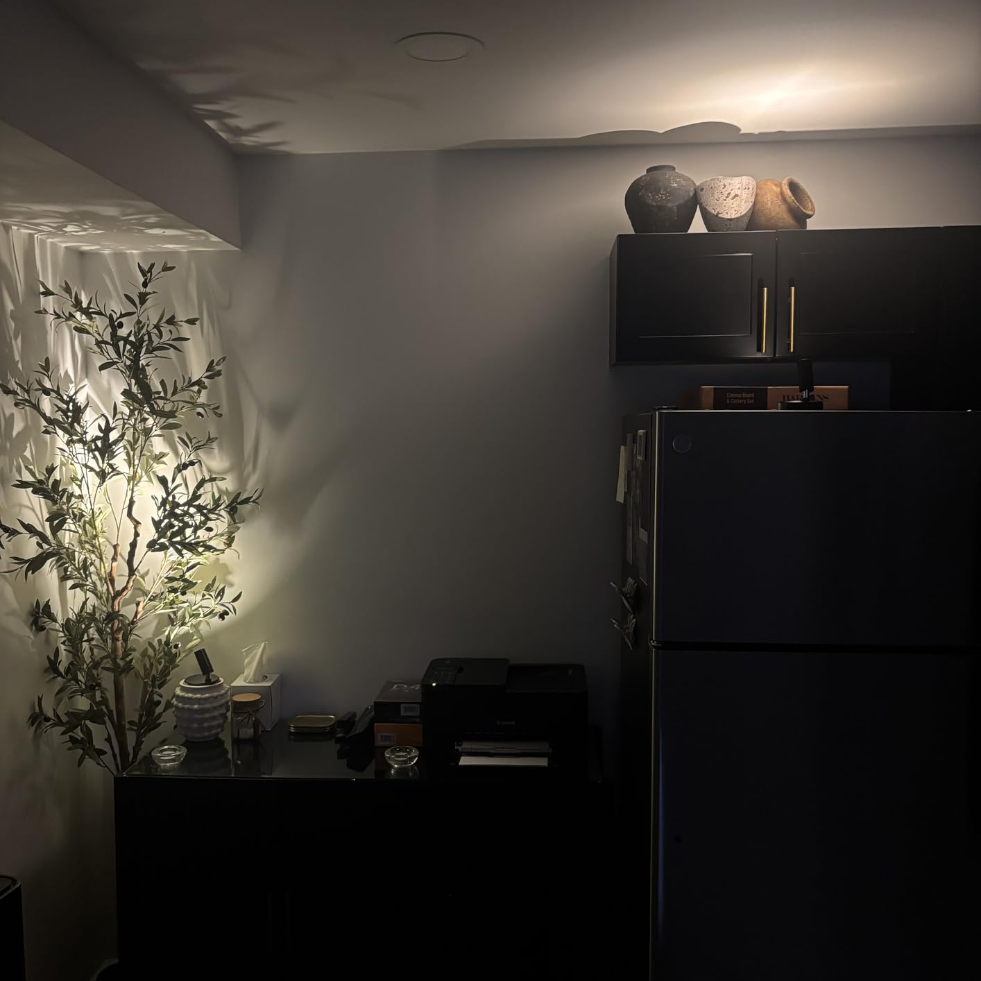 EZVALO Spotlights Indoor with Remote, 5500mAh Rechargeable Picture Lights, Wireless Uplights with Timer & Dimmable, 3-CCT, Accent Lighting for Plant, Art, Painting, Gallery, Wall Decor (2-Pack Black) customer photo 1