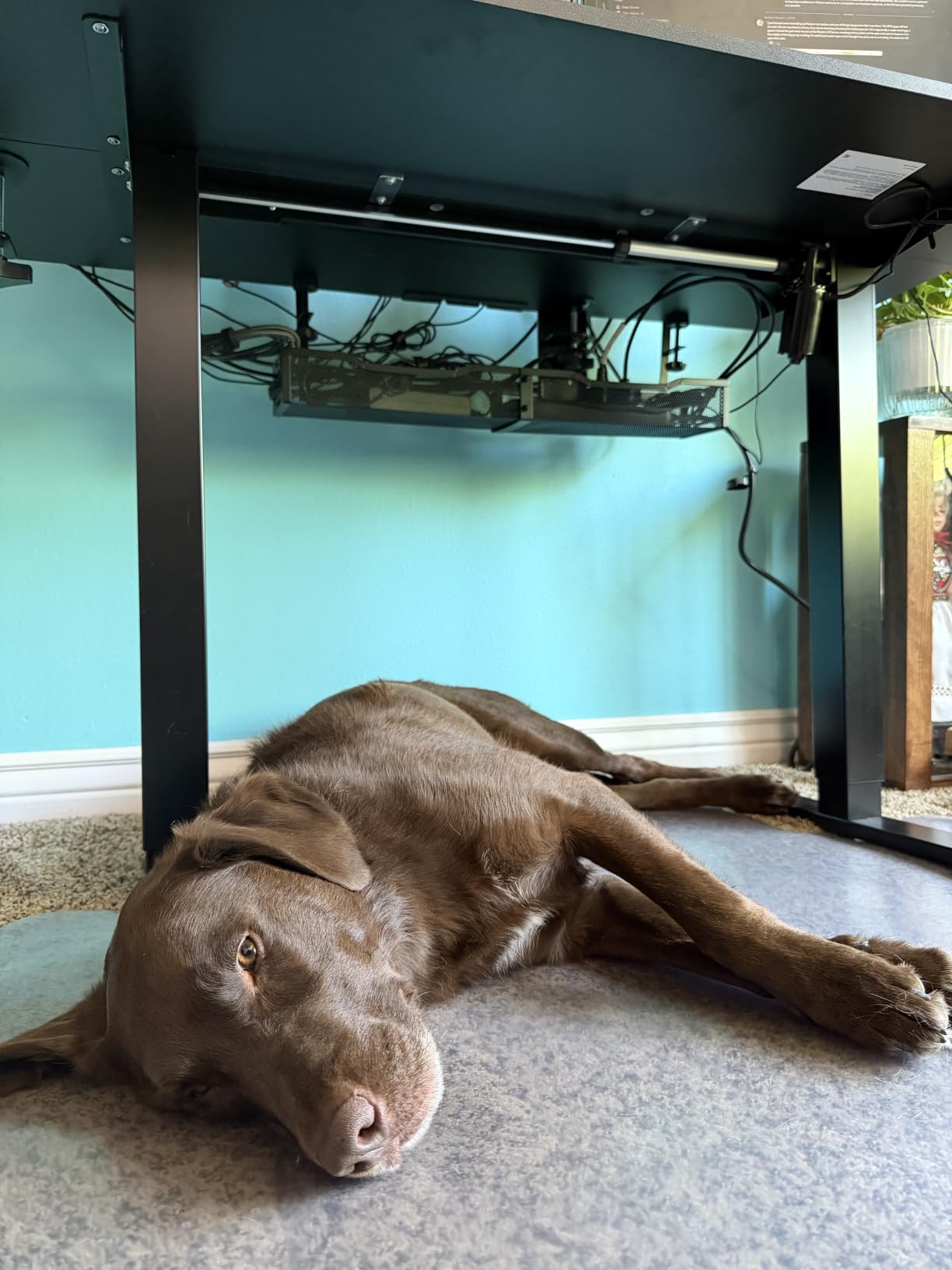 Cable Management, 25'' Cable Management Under Desk, Cable Tray customer photo 2