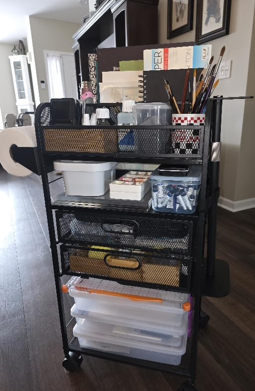 Homsorout Art cart, 5 Tier Rolling Cart - Utility Cart with Storage Drawer and Wheels, Versatile Art & Craft Organizer for Home, Office, or Studio Ideal for Storing Brushes, Paints customer photo 1