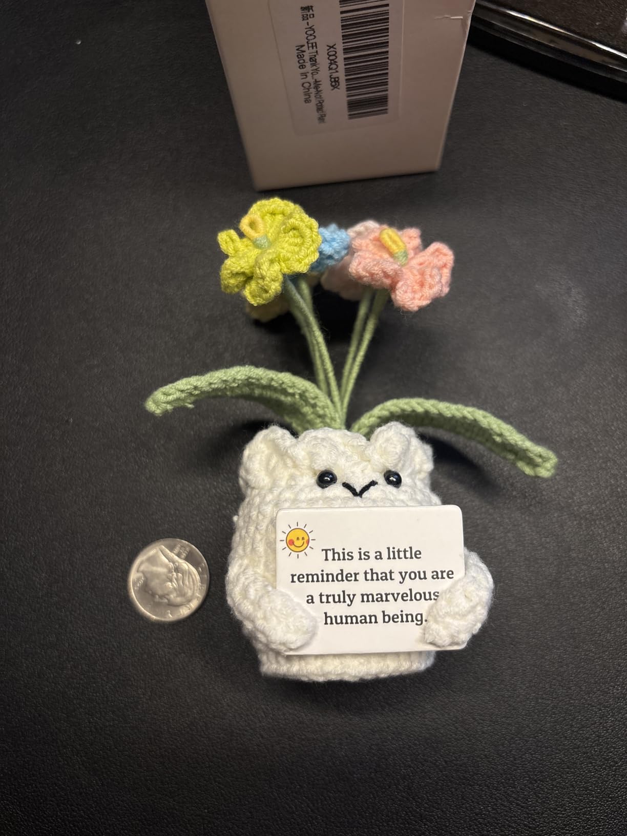 YOOJEE Forget-Me-Not Crochet Flower Potted Plant Gift customer photo 2