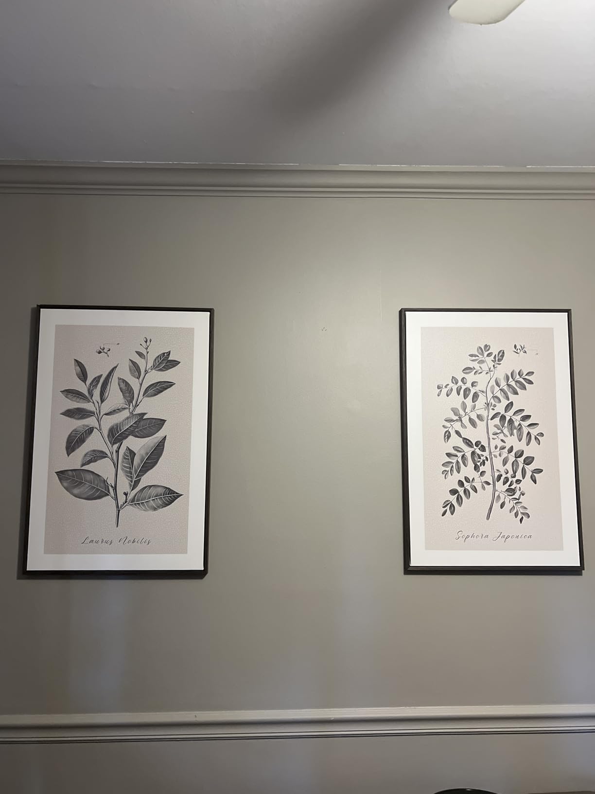 Large Framed Vintage Botanical Wall Art for Living Room, 3 Piece Rustic Farmhouse Plant Canvas Painting Prints Artwork, Neutral Natural Floral Pictures for Bedroom Kitchen Hallway Wall Decor, 24x36 In customer photo 1