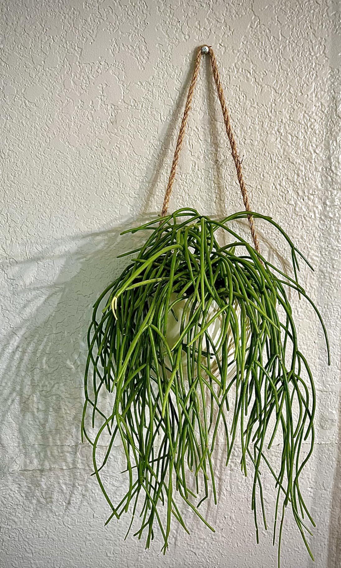 Set of 3 Ceramic Wall Planters - Small Hanging Pocket Vases for Indoor Plants & Dried Flowers, Wall Decor for Home Room Garden Office customer photo 1