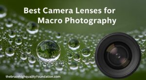 Best Camera Lenses for Macro Photography