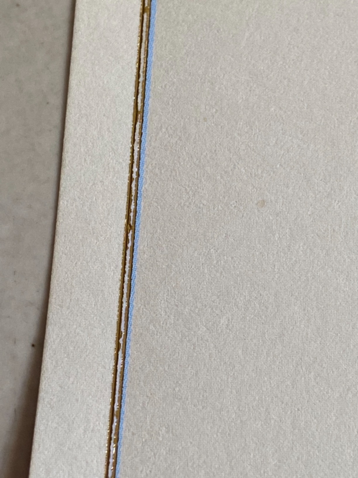 Blue Dragonfly Stationery Set (Boxed Stationery) customer photo 2