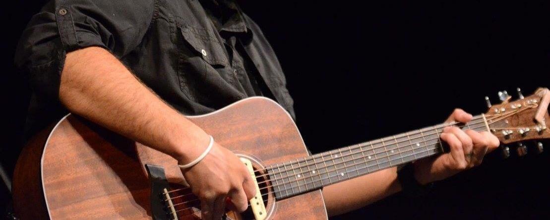 LR Baggs M1 Acoustic Guitar Soundhole Pickup customer photo 2
