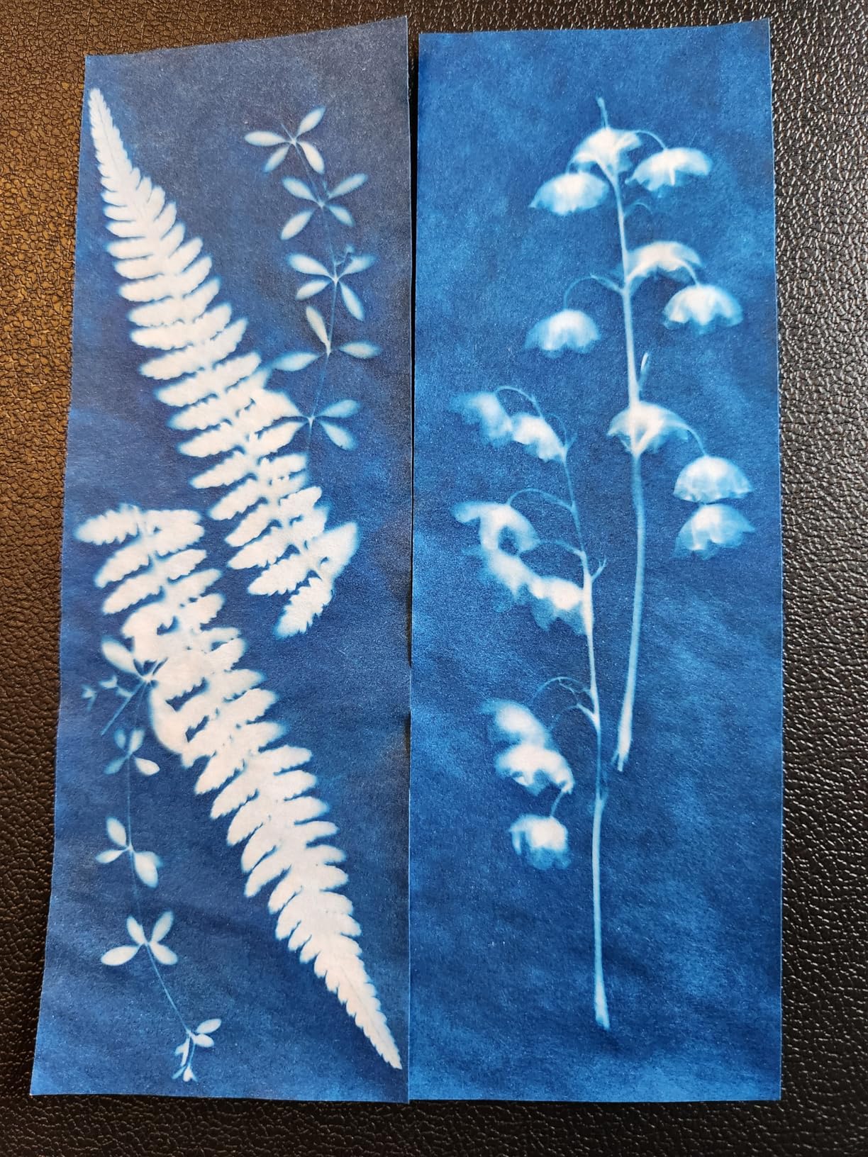 Paper Kit - Sun Print Paper Kit - Cyanotype Paper for Nature Solar Activated Sun Printing Art customer photo 1