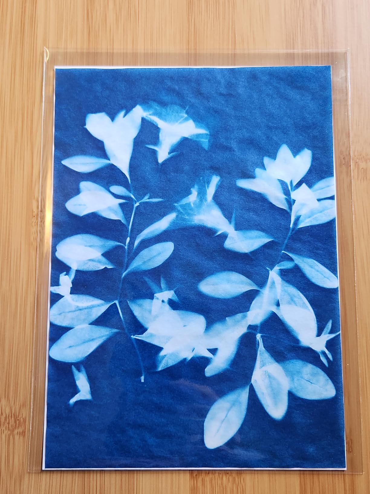 Paper Kit - Sun Print Paper Kit - Cyanotype Paper for Nature Solar Activated Sun Printing Art customer photo 2