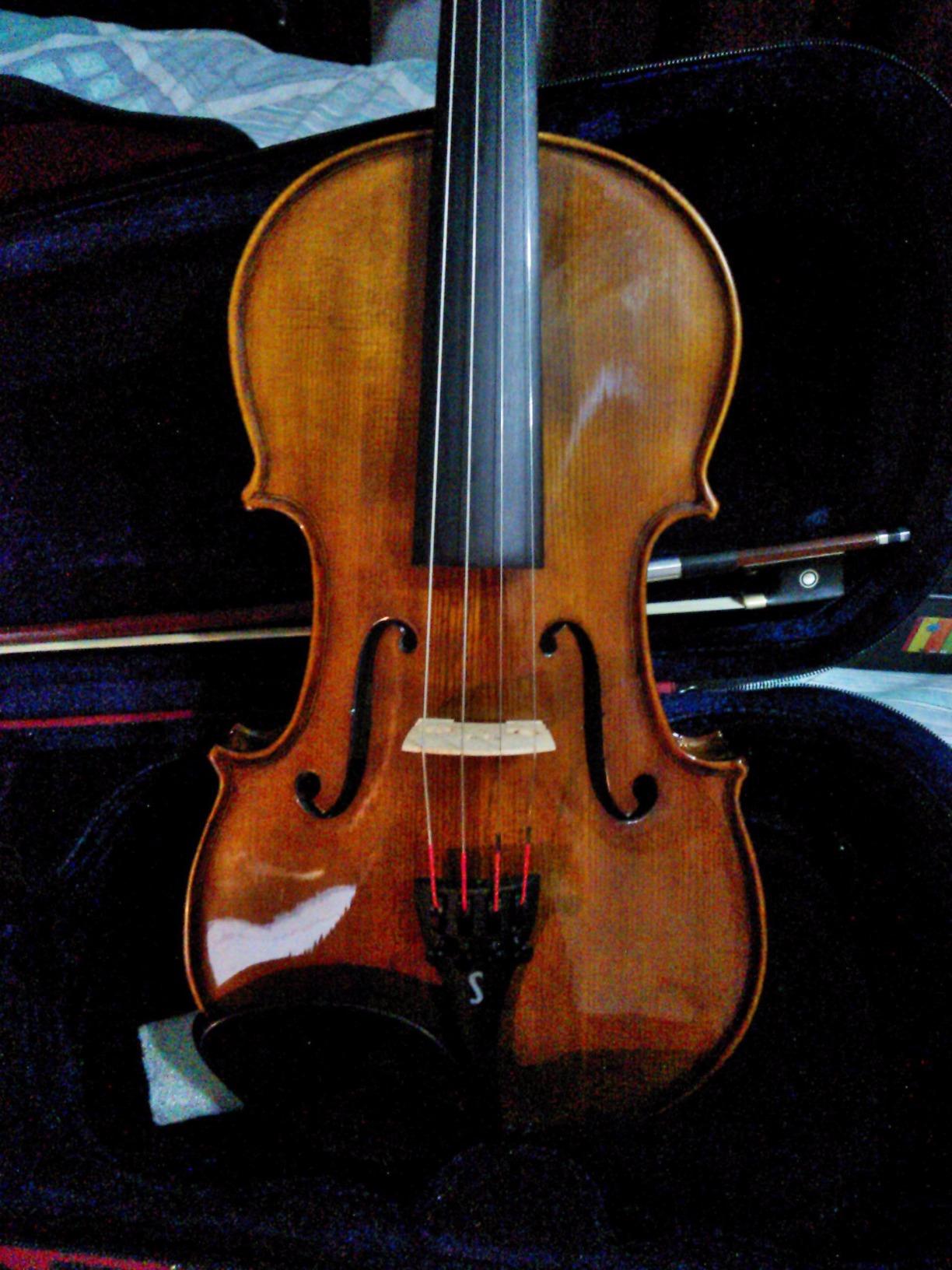 Stentor 1500 4/4 Violin Student II Hand Crafted Solid Tonewood Instrument customer photo 1