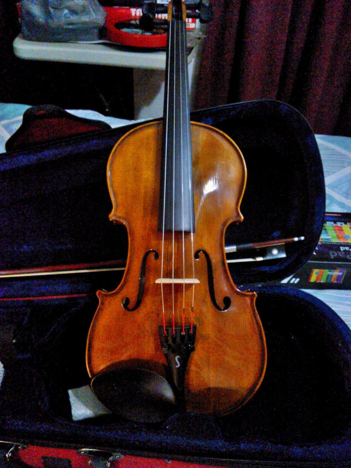 Stentor 1500 4/4 Violin Student II Hand Crafted Solid Tonewood Instrument customer photo 2