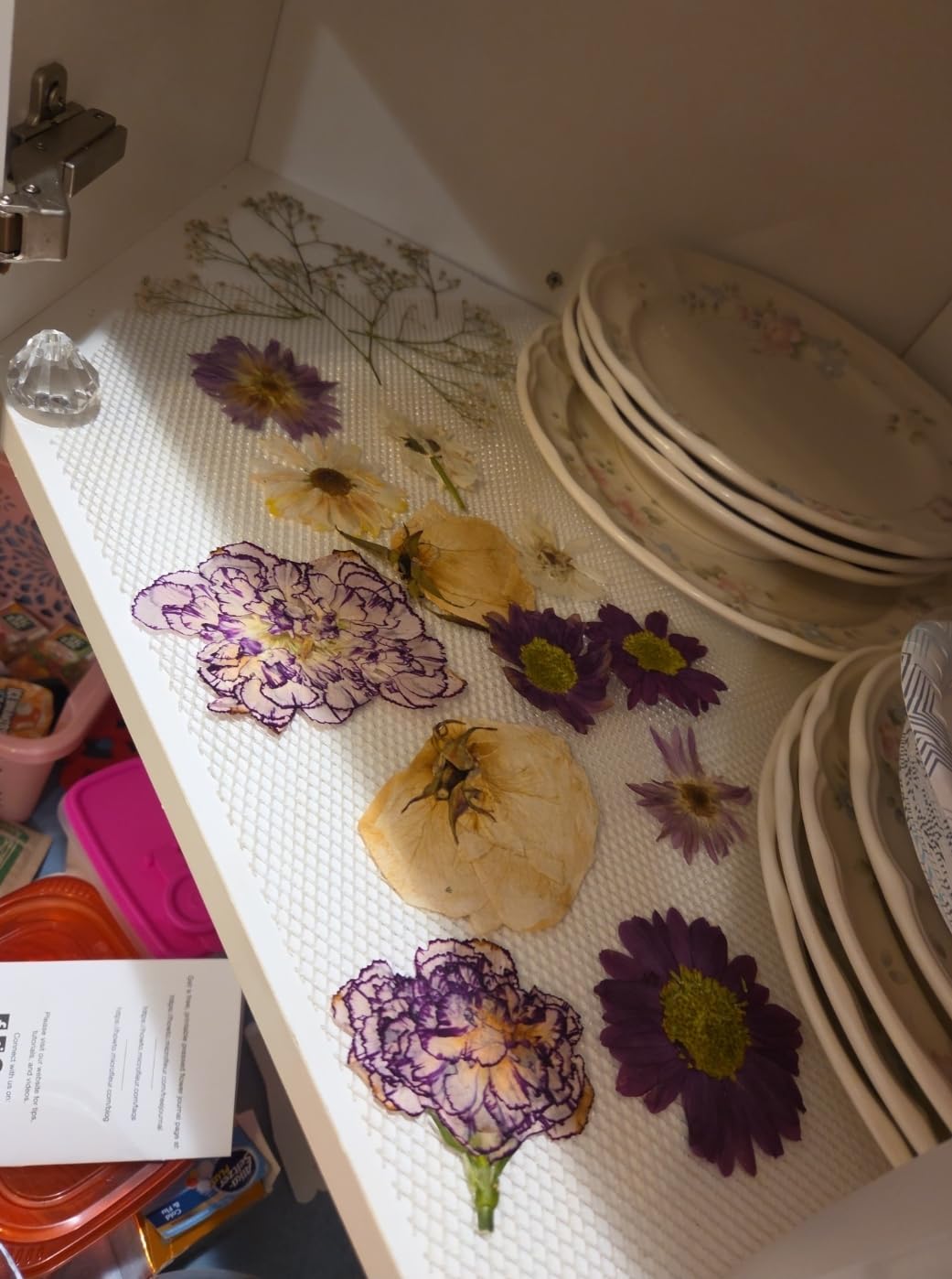 Microwave Craft Flower Preservation Press Portable Kit, 9 inch | Quick & Easy customer photo 1