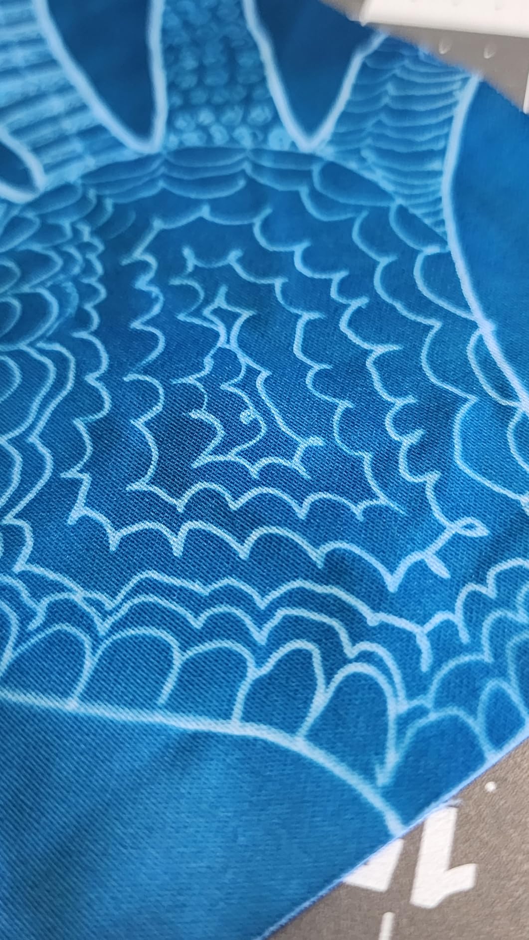 Jacquard Cyanotype Fabric Sheets, Pre-Sensitized Cotton Sateen for Easy Sun Printing, Professional-Quality Fabric Sheets, Just Expose & Rinse, Create Stunning Cyanotype Prints with UV Light, 10-Pack customer photo 1