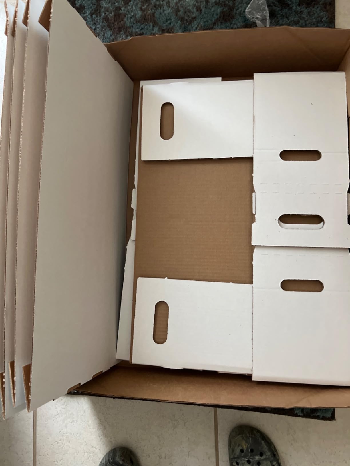 BCW Long Comic Book Storage Boxes (5 Boxes) - Corrugated Materials - Comic Book Collecting Supplies (Great for All Type of Comics) customer photo 1