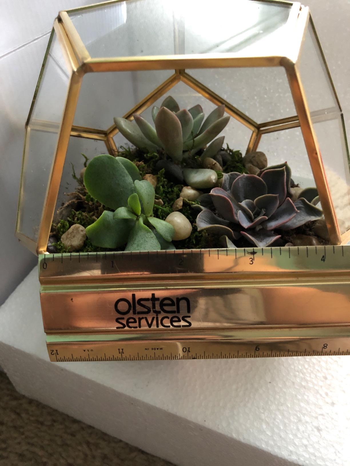 D'Eco Glass Geometric Plant Terrarium (8.2x8.2x8.2) - Indoor Tabletop Gold Sphere Planter Terrarium for Succulents, Air Plants, Moss customer photo 1