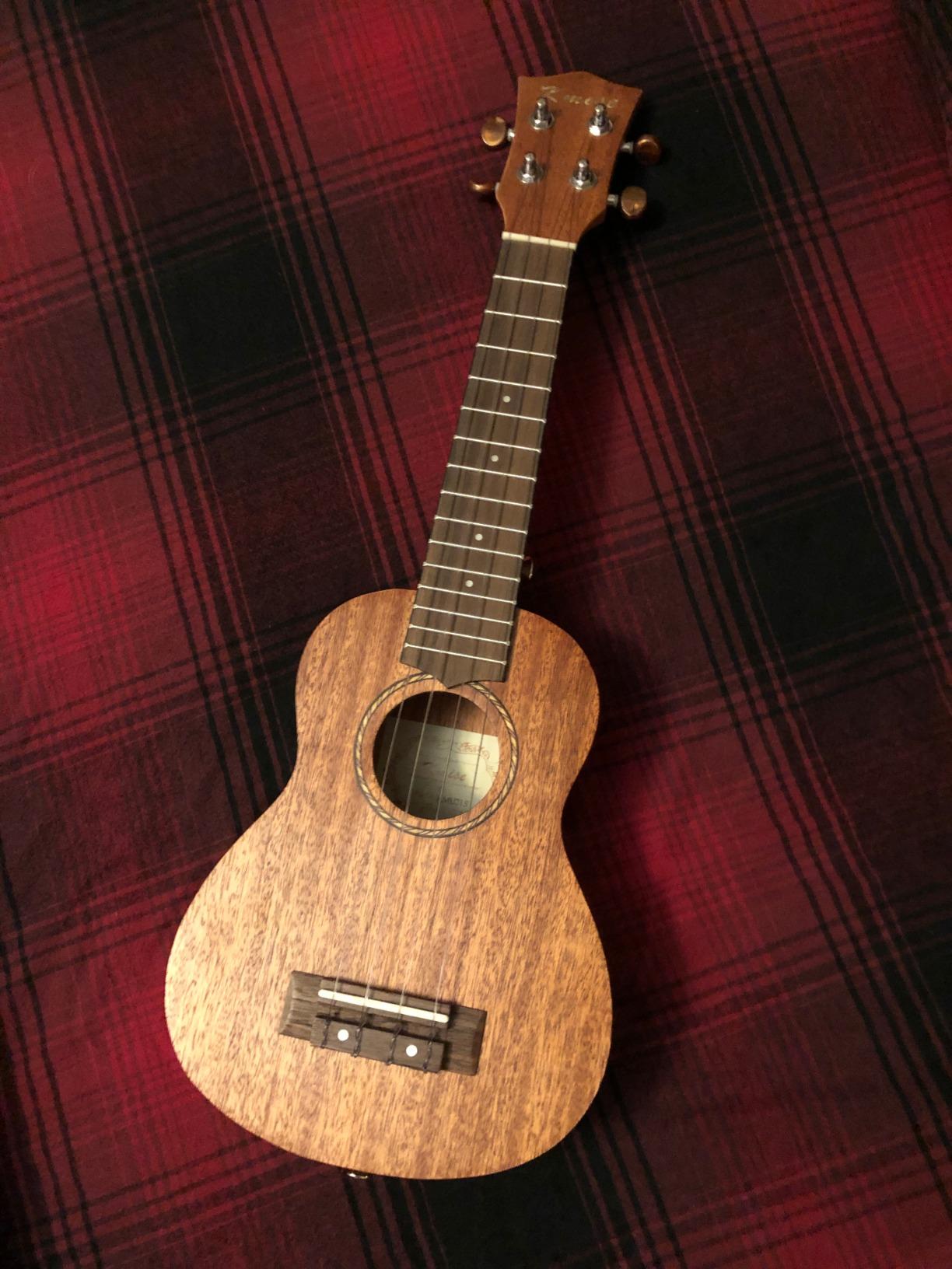 Kmise Professional Ukulele for Adult Beginner 26 inch Tenor Mahogany Ukelele Starter Kit customer photo 1