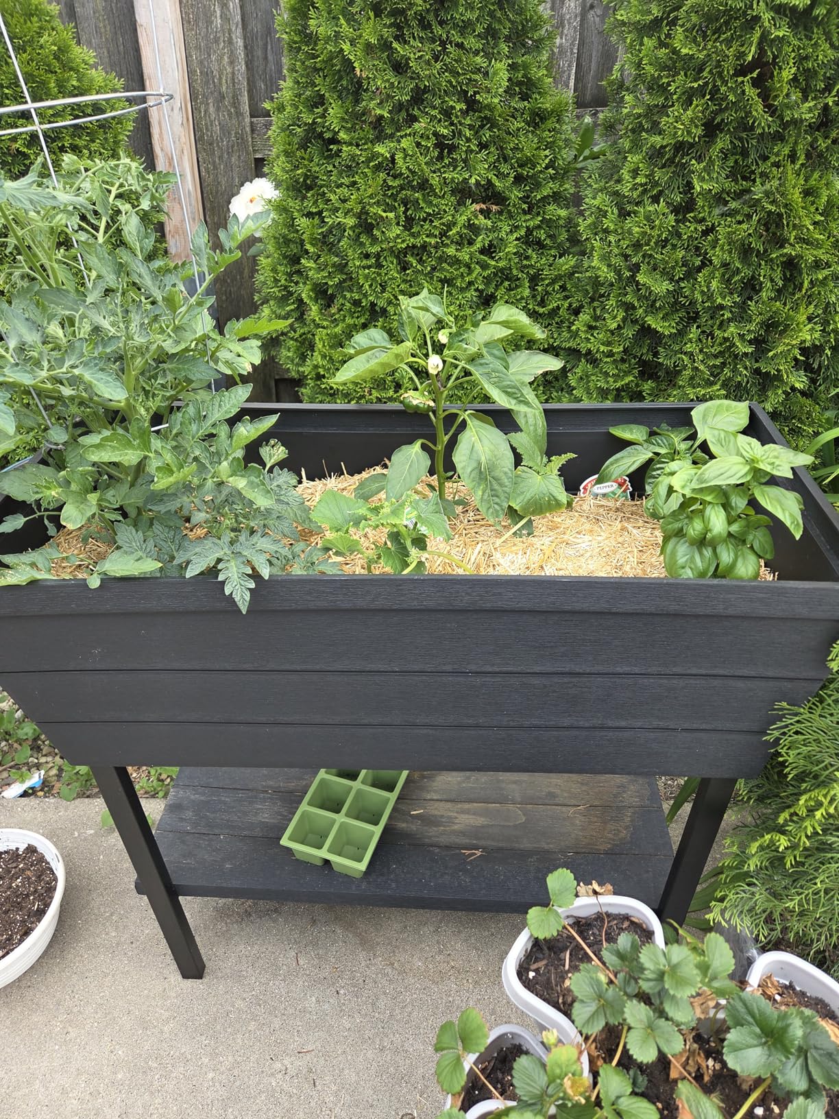 Urban Bloomer 12.7 Gallon Raised Garden Bed and Outdoor Herb Garden Planter with Self Watering Gauge and Drainage Plug, Dark Grey customer photo 1