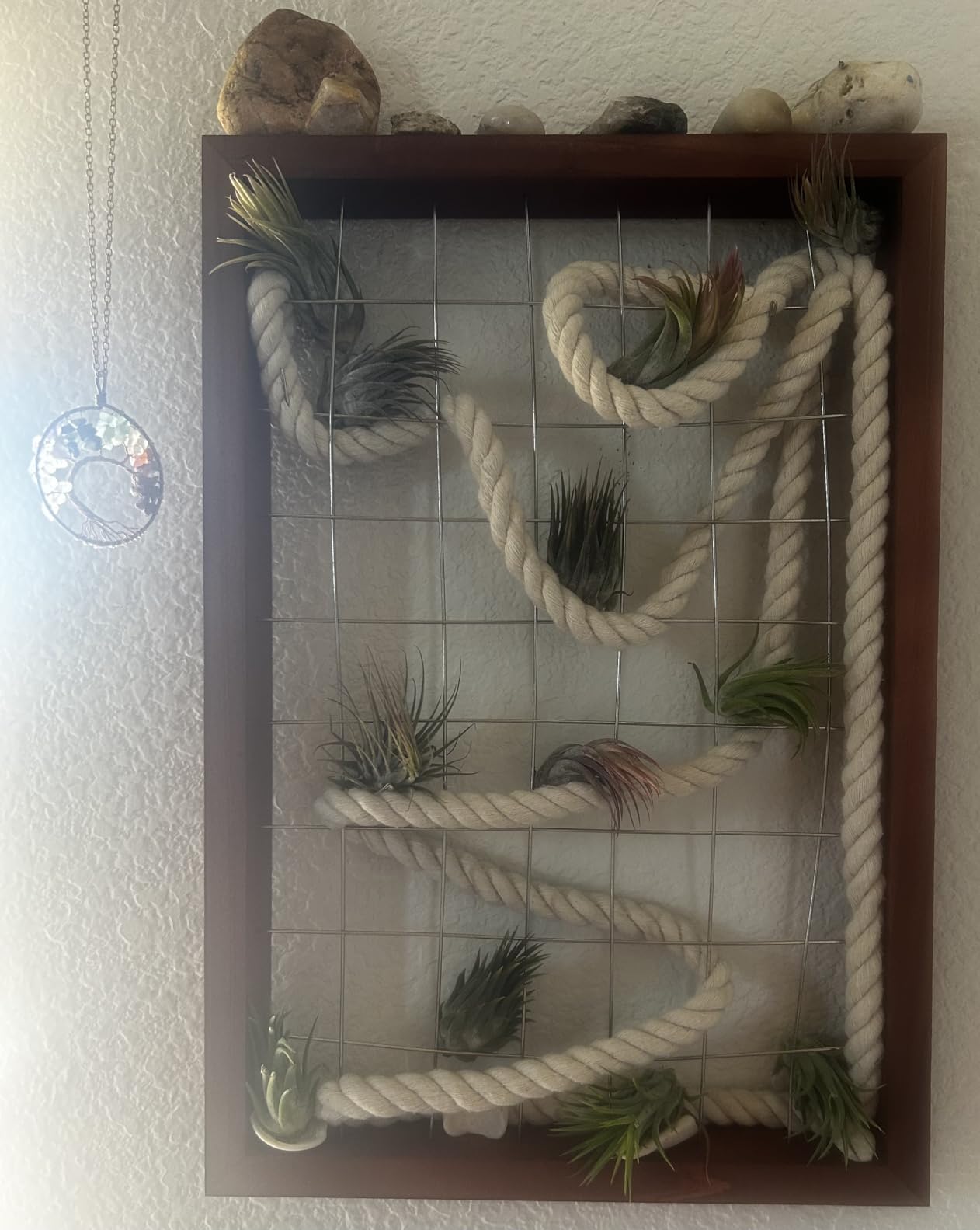 Mkono Air Plant Frame Hanging Airplant Holder Tillandsia Display Hanger Wooden Shelf Wall Decor for House Plants, Succulent, Christma Gifts for Plant Lovers, 16