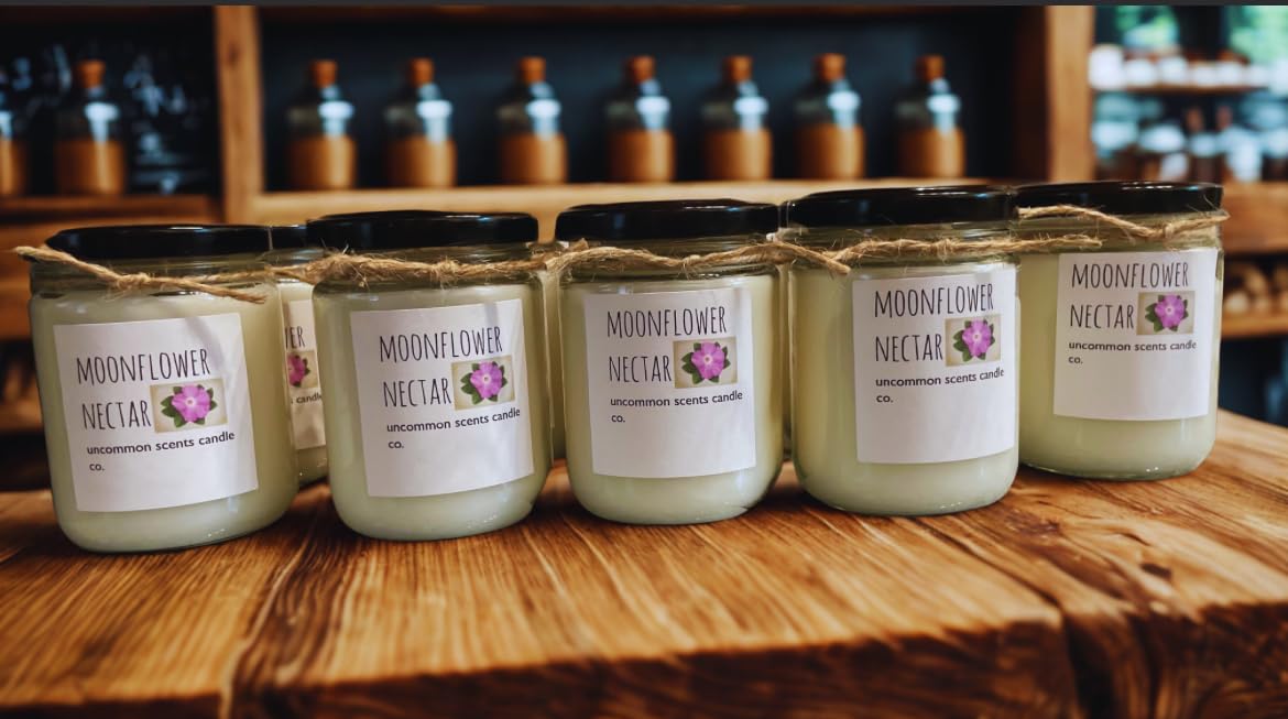 8oz Glass Jar with Lid, 20pcs Mason Jars for Candle Making, Airtight Storage customer photo 1