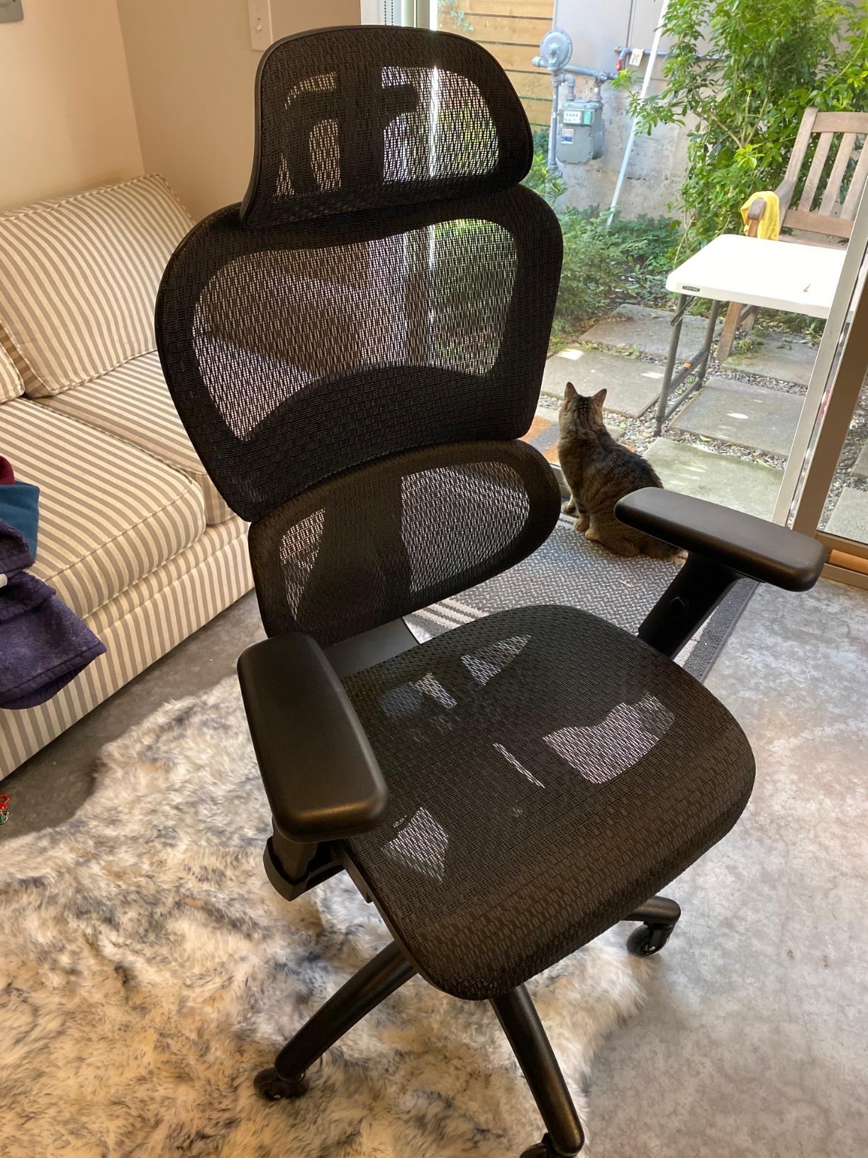 Nouhaus Ergo3D Ergonomic Office Chair Lumbar Support Mesh Office Chair with 4D Adjustable Armrest, Adjustable Headrest and Wheels, Mesh High Back Home Office Desk Chairs (Black) customer photo 2