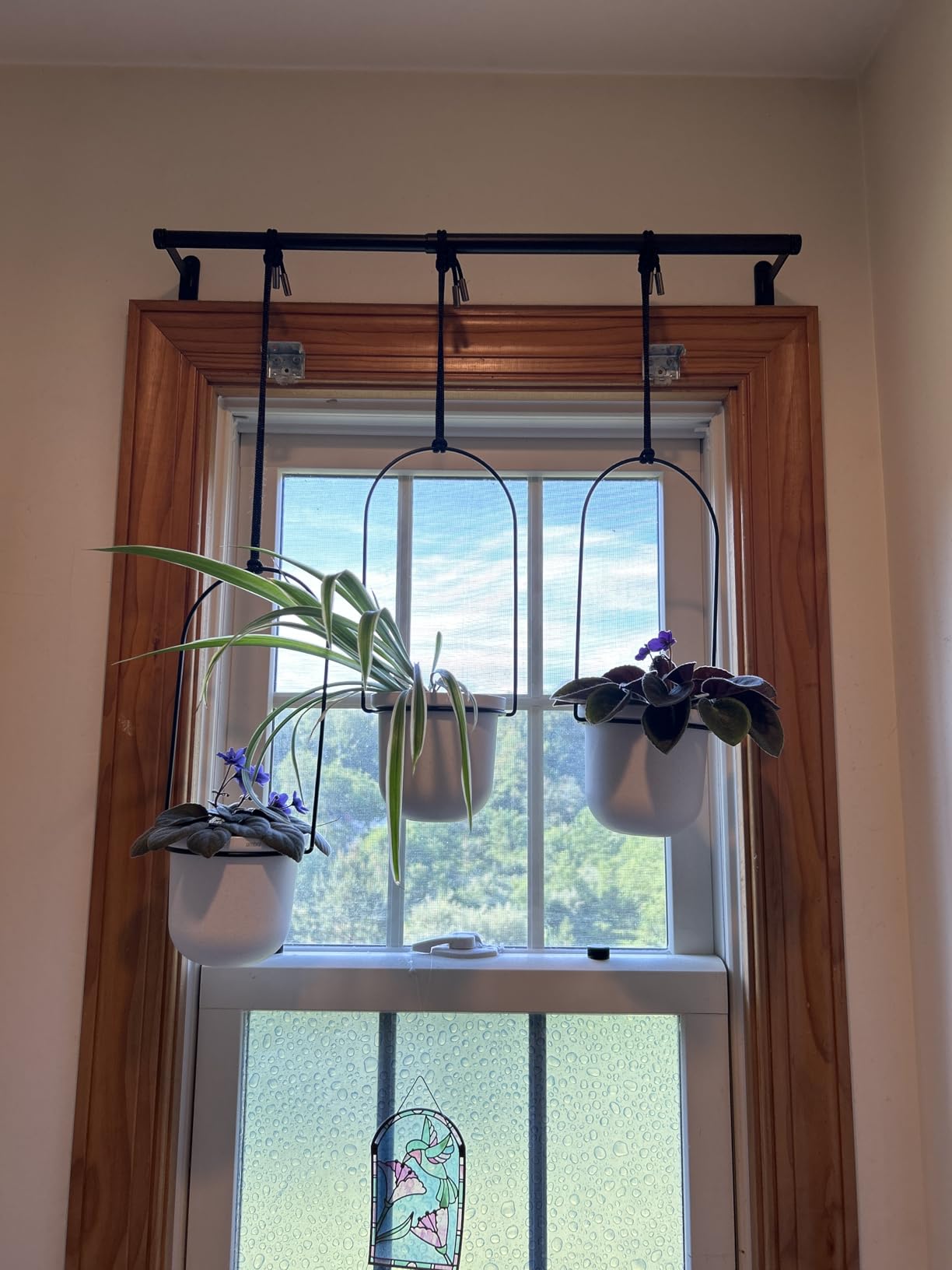 Umbra Triflora Hanging Planter for Window, Indoor Herb Garden, Set of 3, White/Black customer photo 1