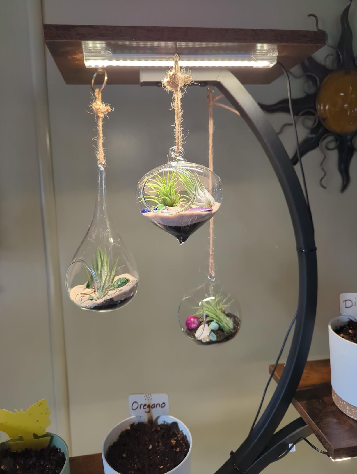 Mkono 3 Pack Glass Hanging Planter Air Fern Holder Terrarium Plants Hanger Vase for Succulent Moss Tillandsias Air Plants Globe customer photo 1