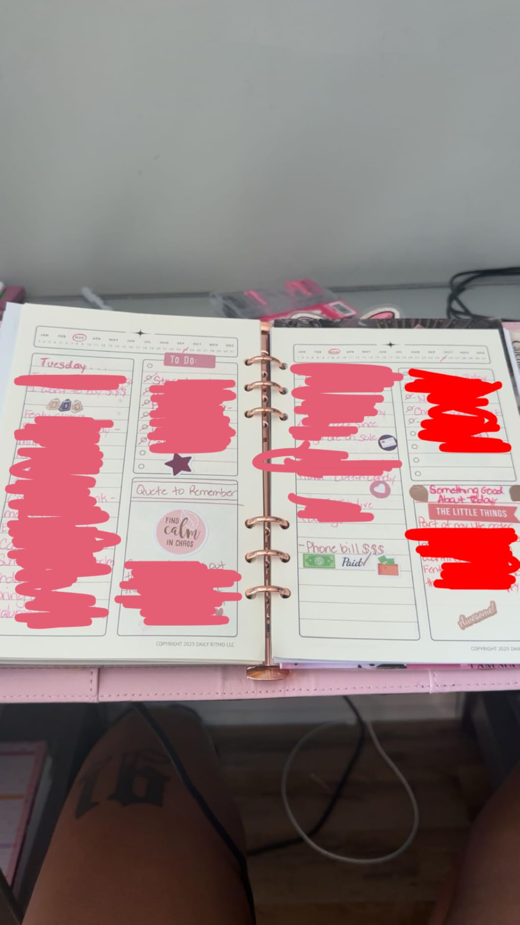 Aesthetic Monthly Planner Stickers - 1100+ Beautiful Design Accessories Enhance and Streamline Your Planner, Journal and Calendar customer photo 1