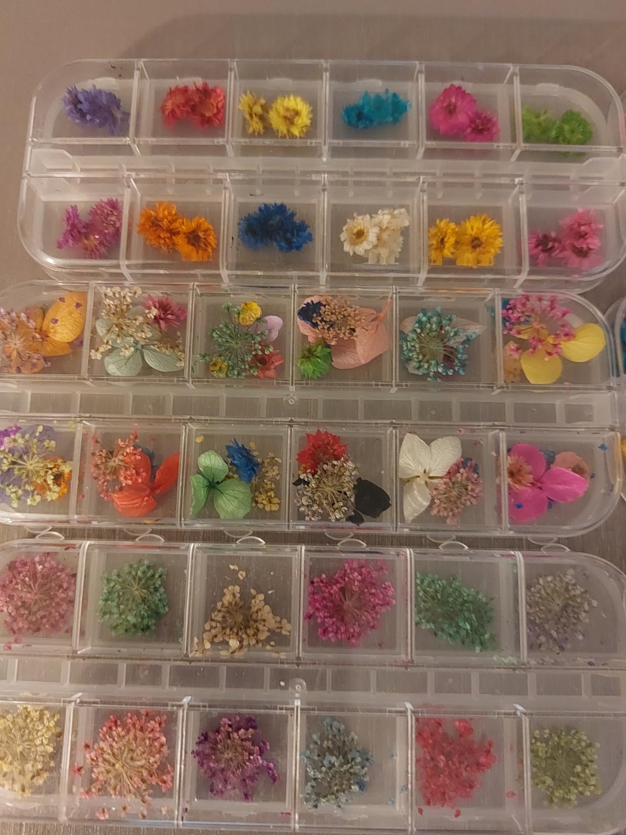 108 Pcs Dried Flowers for Resin Nail Art 62 Colors 3D Dry Flowers for Nails 2 Boxes Small Tiny Dried Flowers for Nail Art Little Pressed Real Natural Flower Nail Art Design Decoration Supplies customer photo 1