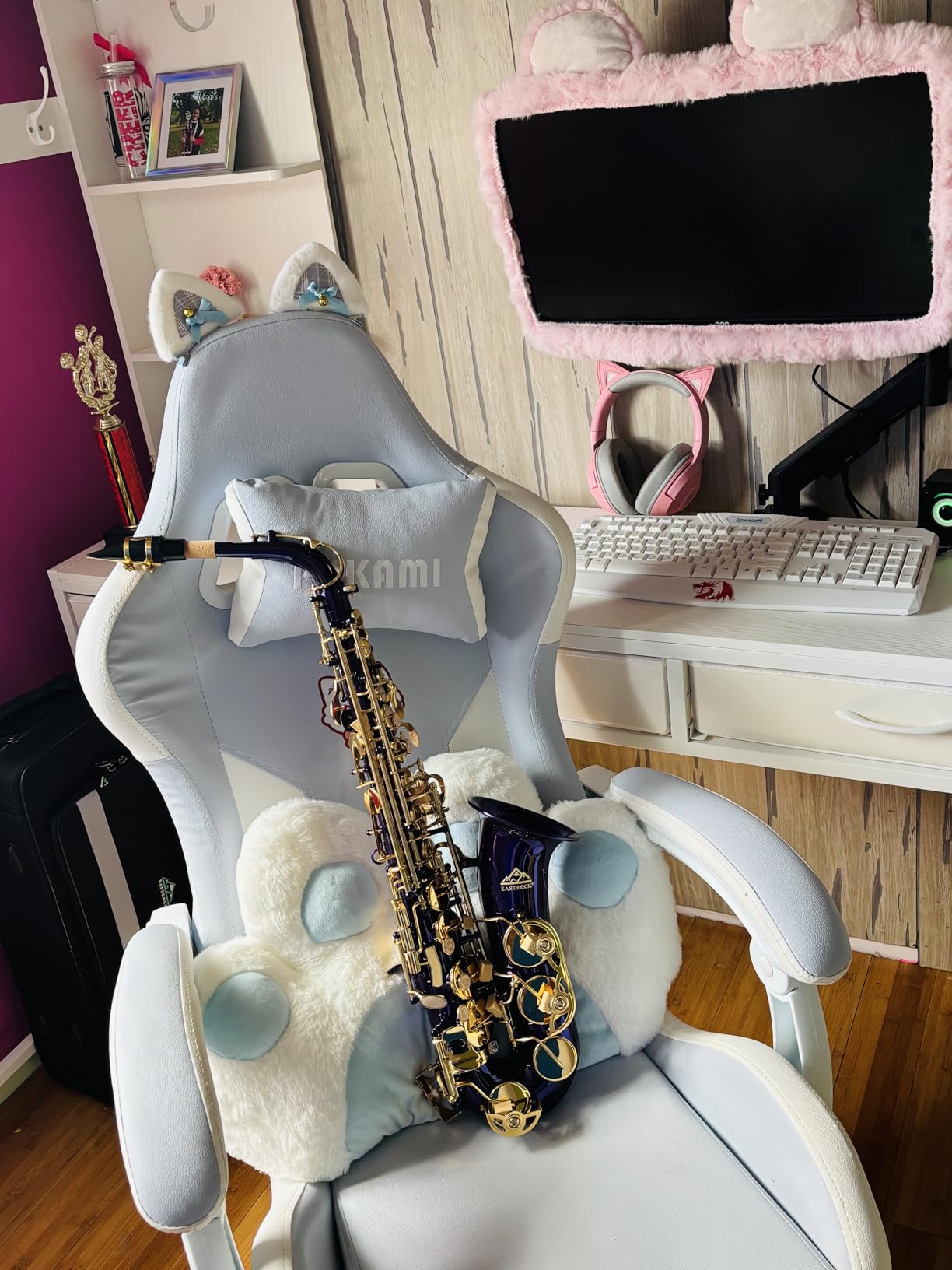 EASTROCK Alto Saxophone E Flat Sax Full Kit for Students Beginner with Carrying Case, Mouthpiece, Cushion Pads, Cleaning Kit, Neck Strap customer photo 1