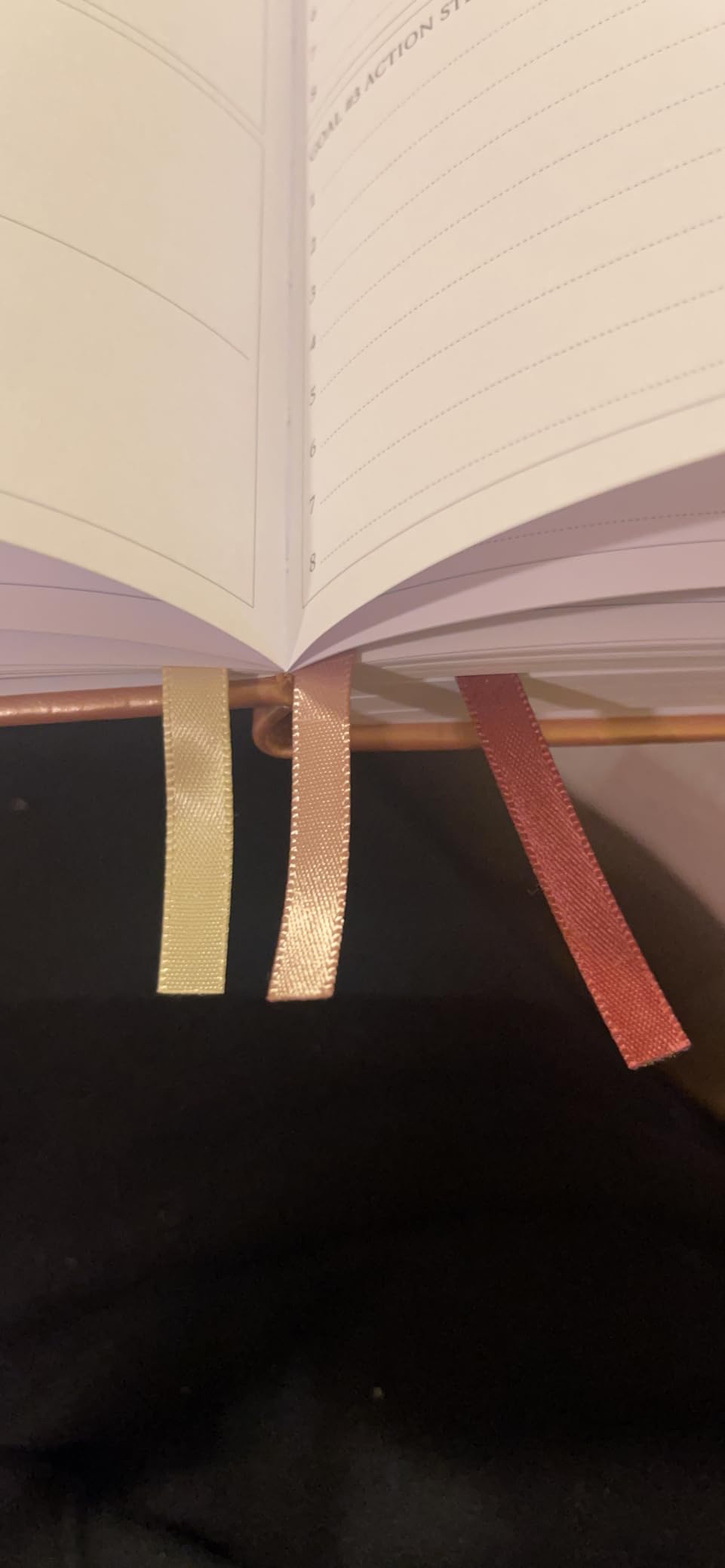 Legend Planner Hourly Schedule Edition - Deluxe Weekly & Daily Organizer with Time Slots. Time Management Appointment Book Journal for Work & Personal Life, Undated, A5 Hardcover - Rose Gold customer photo 1