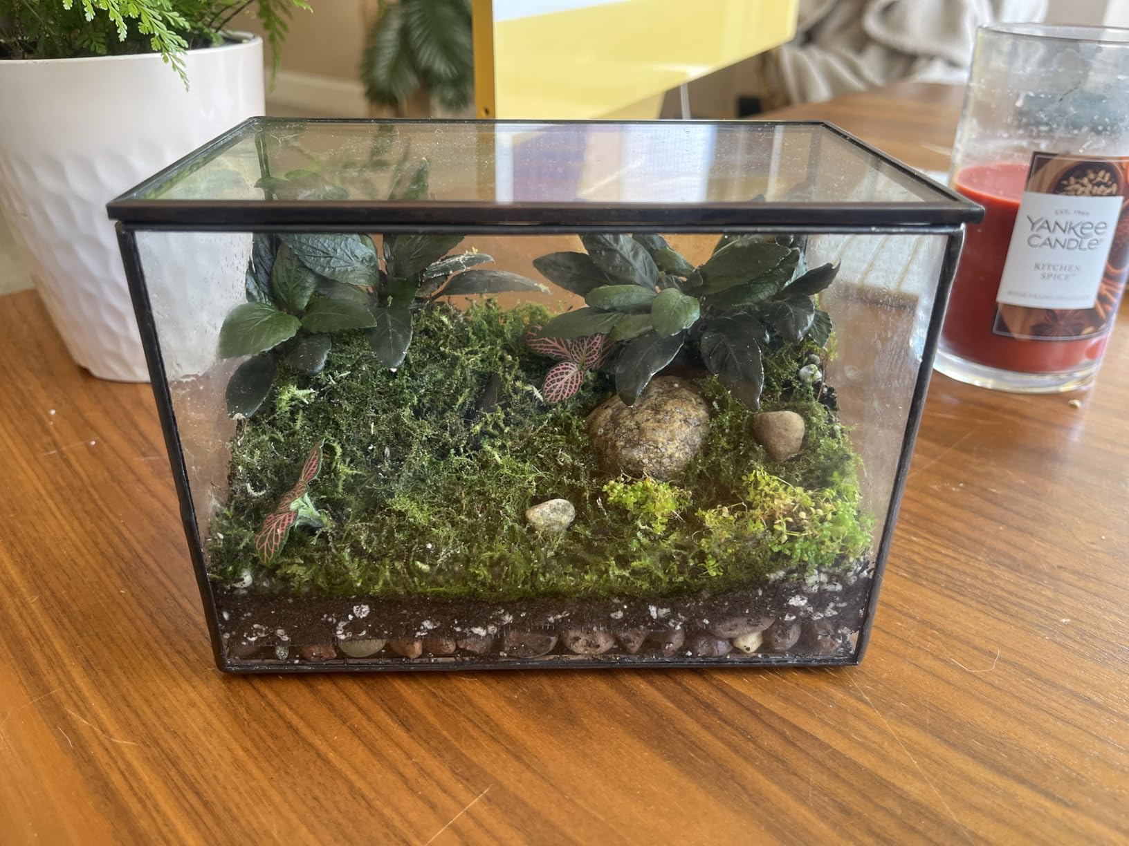 Geometric Glass Terrarium Planter for Succulents, Cactus, Moss & Air Plants, Black Open-Front Tabletop Plant Container, Irregular Prism Glass House customer photo 1