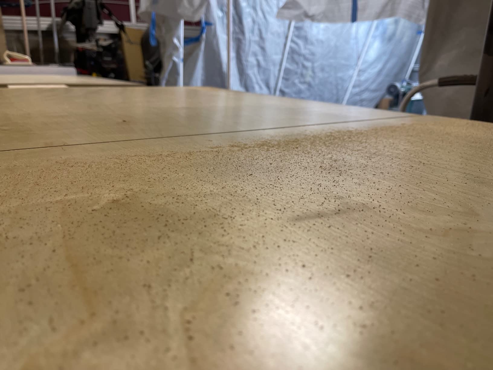 Festool Plunge-Cut Track Saw TS 55 FEQ-F-Plus-FS with 55-Inch (1400mm) Guide Rail customer photo 2