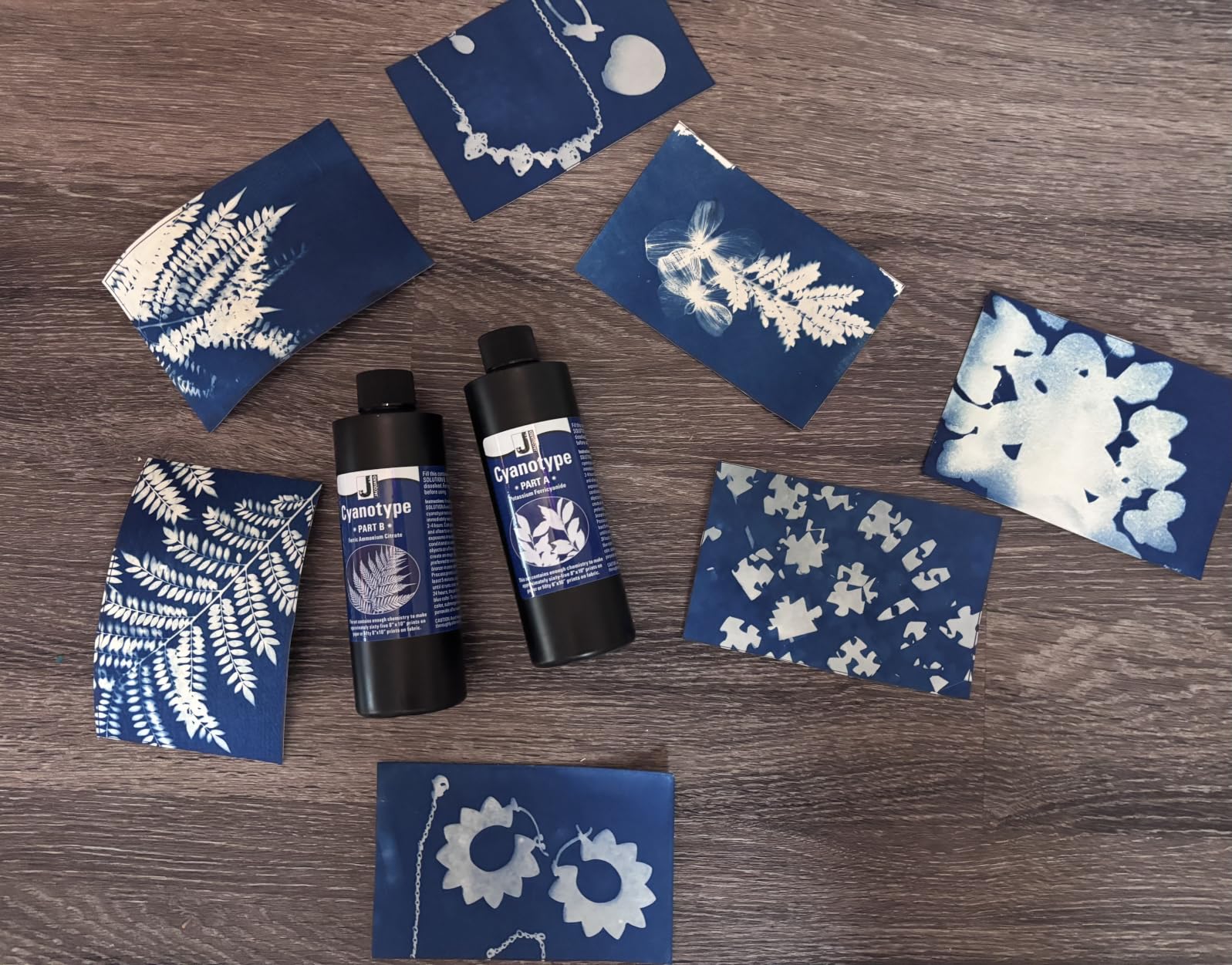 Jacquard Cyanotype Kit - Sun Printing Sensitizer Set for Paper & Fabric - Complete Blueprint Art Kit with Sponge Brush - Cyanotype Supplies for Photographers, Crafters & Kids customer photo 1