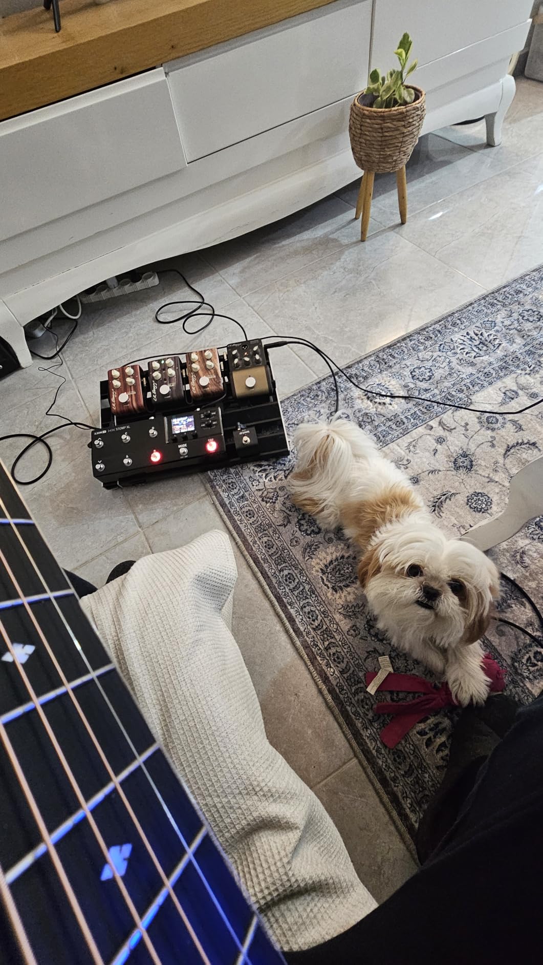 Line 6 HX Stomp XL Multi-Effects Pedal customer photo 1