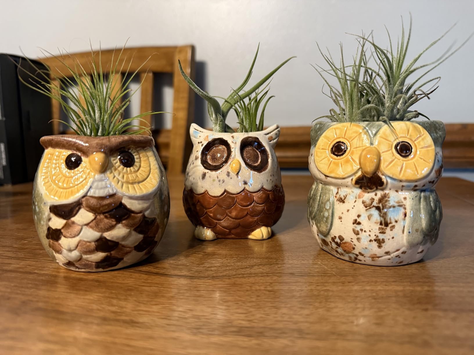 Winlyn 6 Sets DIY Ceramic Owl Succulent Pots Paint Craft Kit, Unpainted Ceramic Bisque Owl Flowerpots with Drainage Hole, Ready to Paint for Kids Classroom Craft Project Activity customer photo 1
