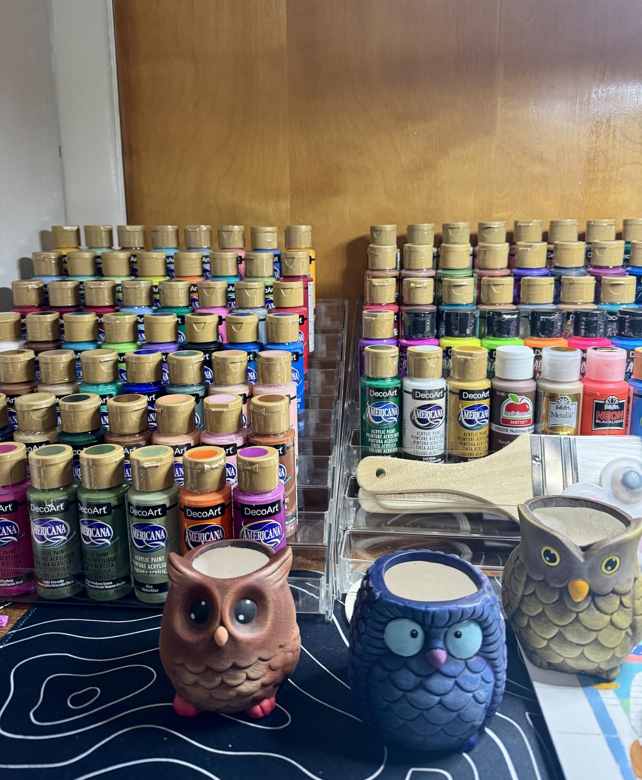 Winlyn 6 Sets DIY Ceramic Owl Succulent Pots Paint Craft Kit, Unpainted Ceramic Bisque Owl Flowerpots with Drainage Hole, Ready to Paint for Kids Classroom Craft Project Activity customer photo 2