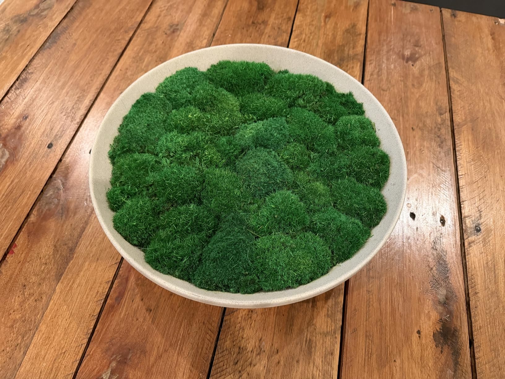 Preserved Pole Moss Pillow Bun Cushion Natural Green Decorative Real Natural DIY Kit Gardenning Art Wall Decor Florist Easter Table Decor Wedding (1.5 sq.ft, Green-C) customer photo 2