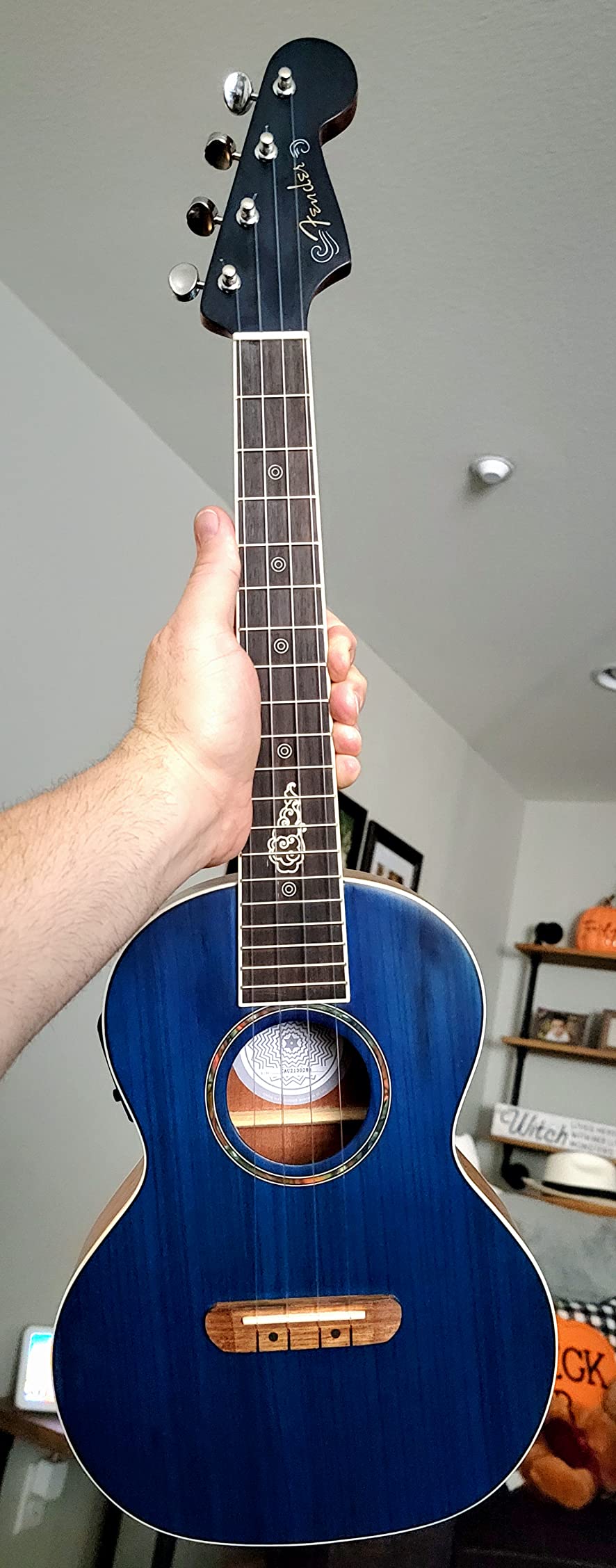 Fender Dhani Harrison Tenor Ukulele Sapphire Blue with Gig Bag customer photo 1