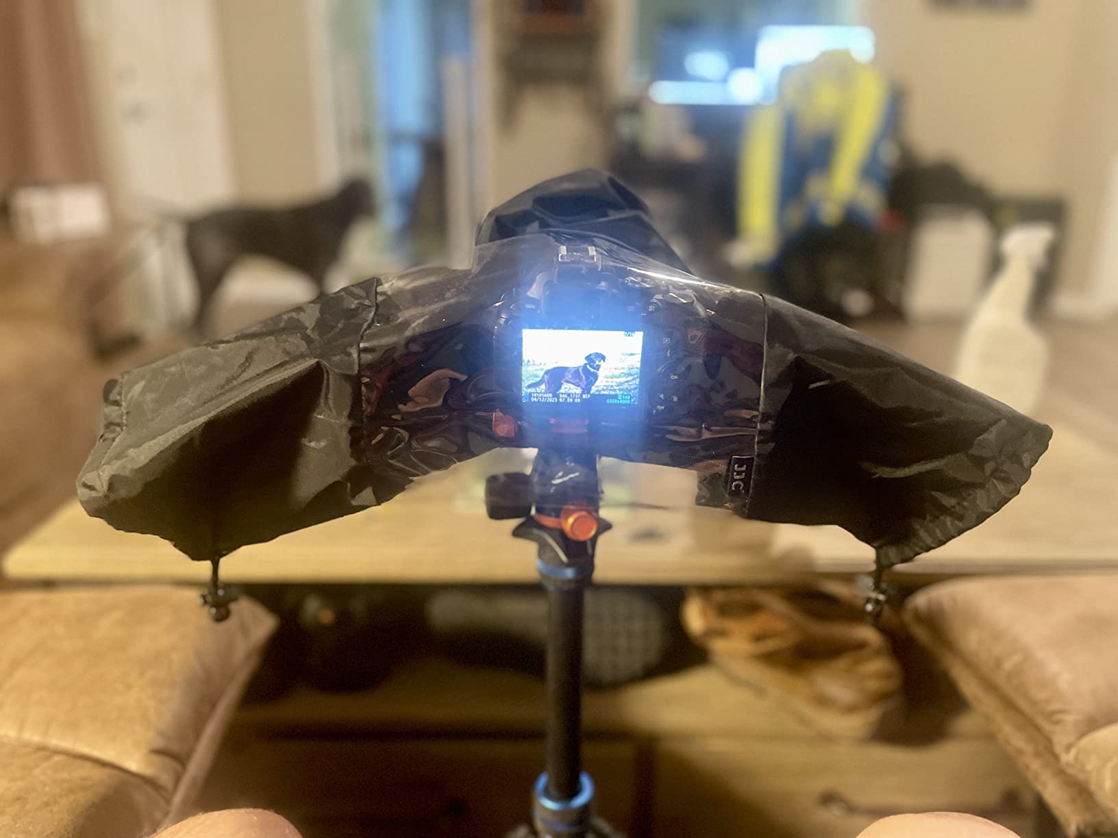 Professional Waterproof Camera Rain Cover for Canon for Nikon for Sony for Fujifilm and More DSLR Mirrorless Cameras with Lens, Camera Accessories for Photography customer photo 2