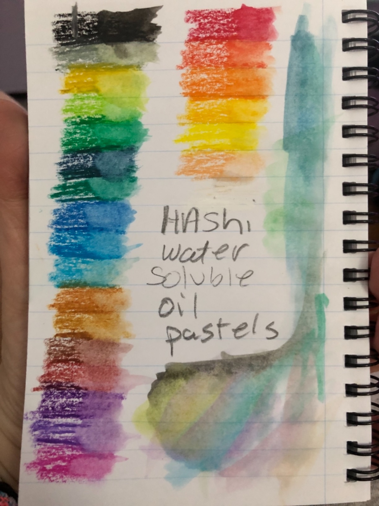 HA SHI Water-Soluble Oil Pastels for Adult Artists, 24 Colors, Blendable customer photo 2