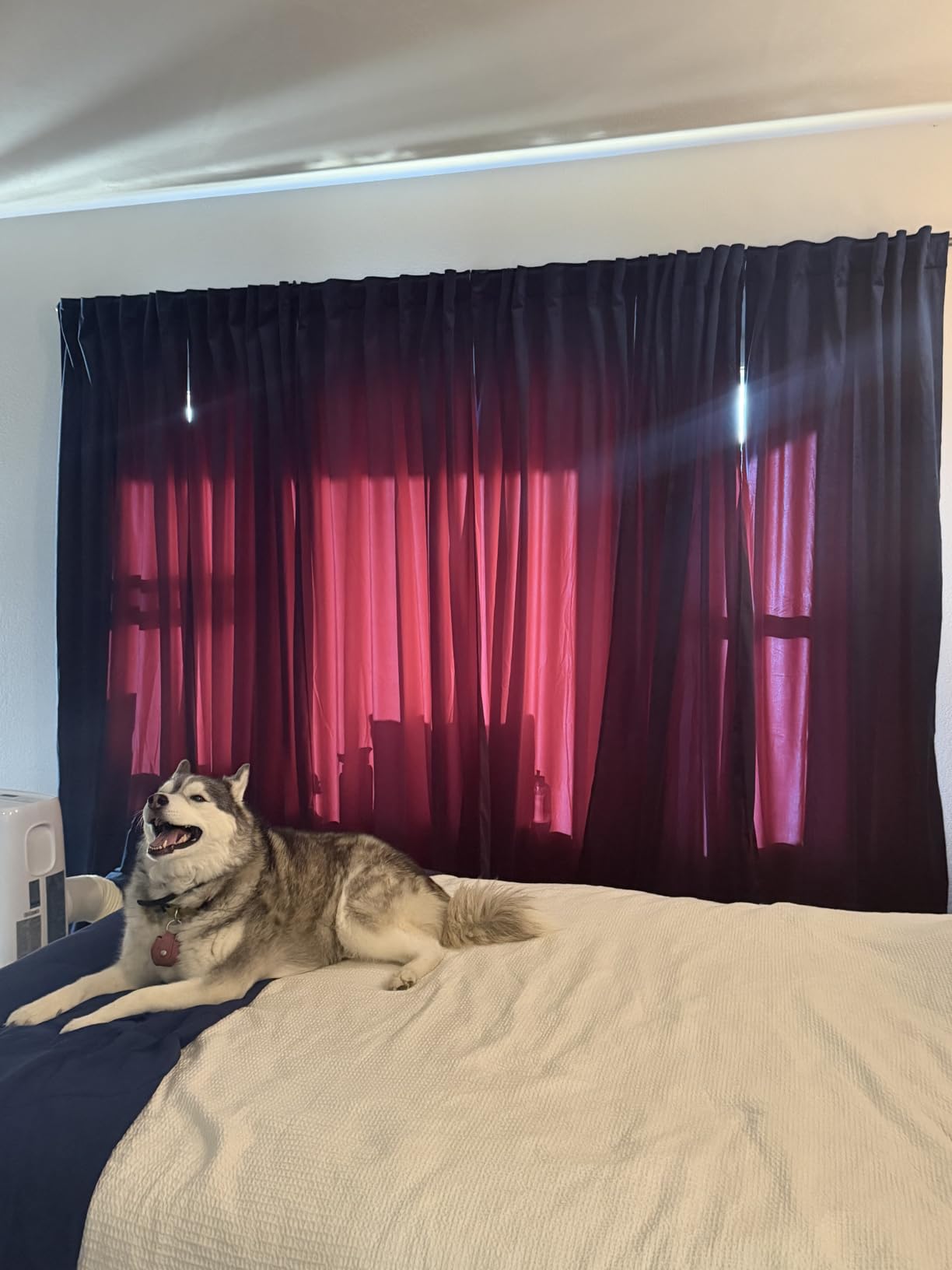 RYB HOME Blue Velvet Curtains 84 inches - Blackout Curtains for Living Room, Thermal Insulated Noise Reducing Panels Soft Luxury Window Decor for Kids Bedroom, Navy Blue, W52 x L84 inches, 2 Panels customer photo 1